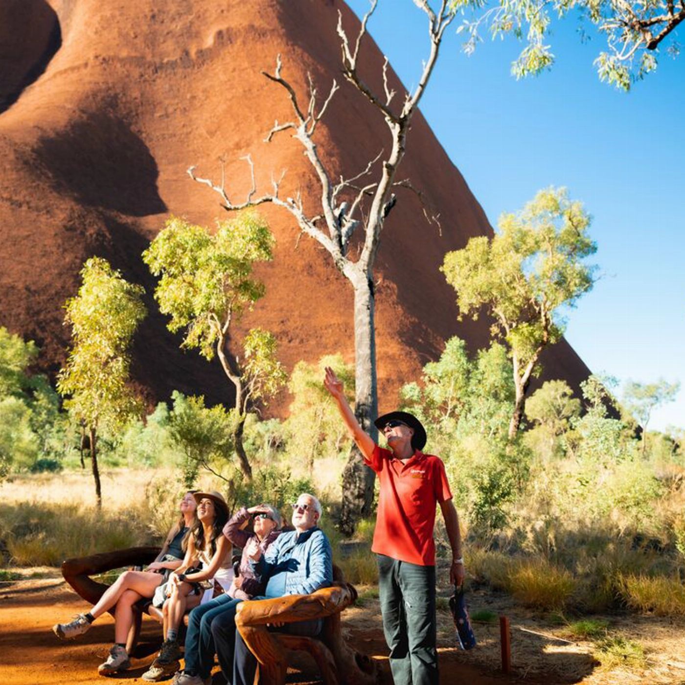 Intrepid Uluru & Kata Tjuta Express
