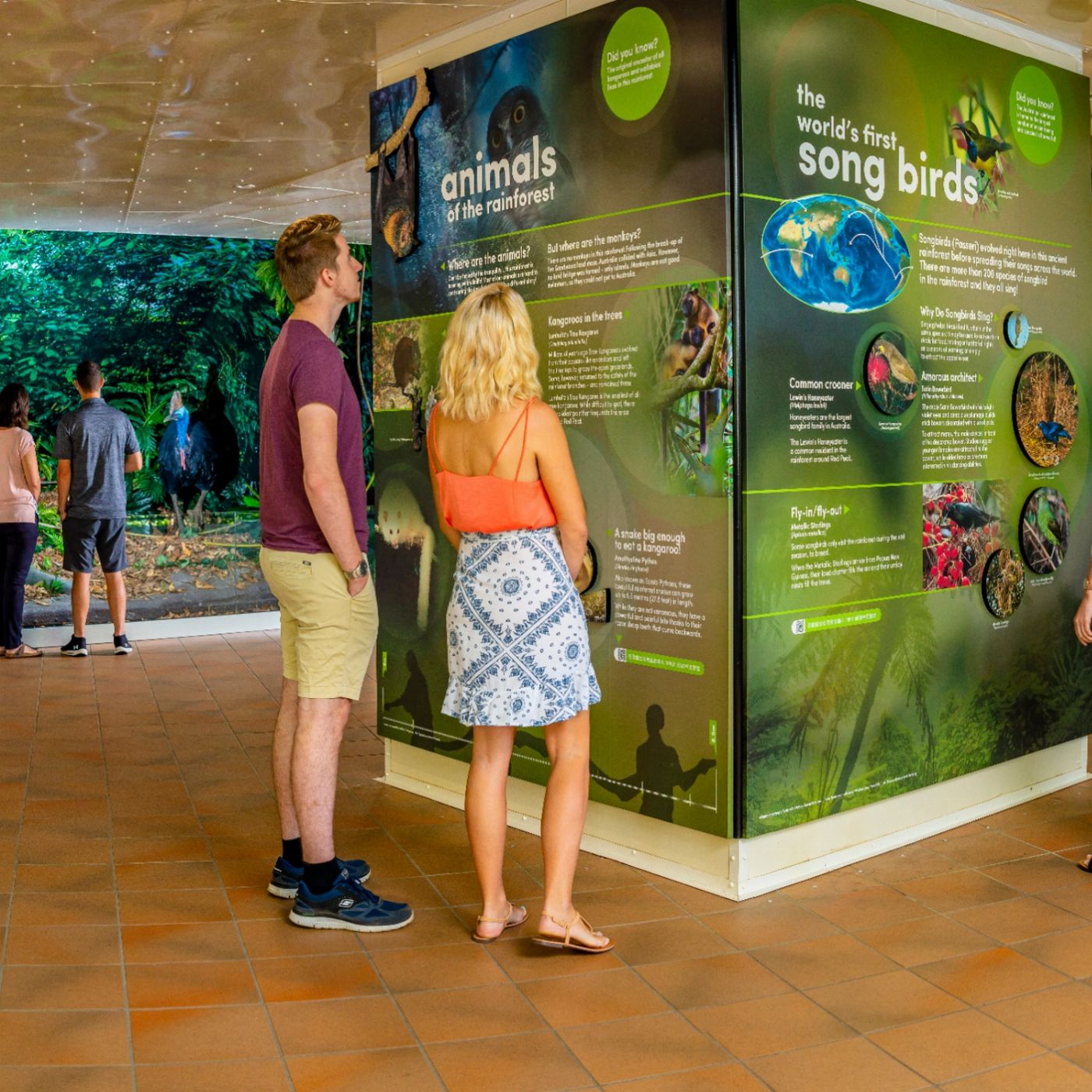 Skyrail Rainforest Cableway Skyrail Kuranda to Barron Falls Loop + Train-Self Drive (Stage 1)
