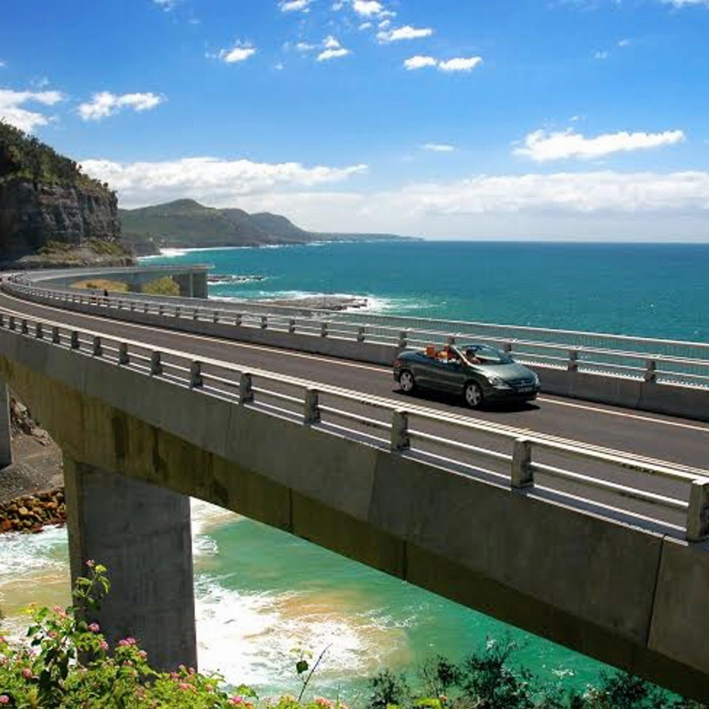 Brighton Coach & Tours Jervis Bay Day Tour