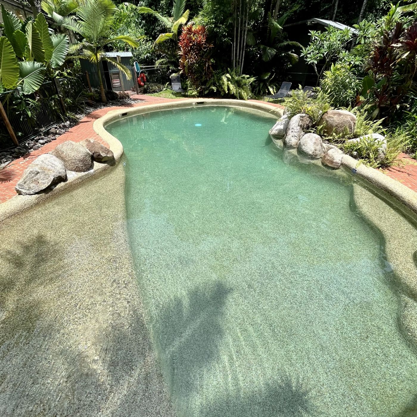 Cairns Adventure Group Daintree Discover: Rainforest & Accommodation - 2 Day Tour
