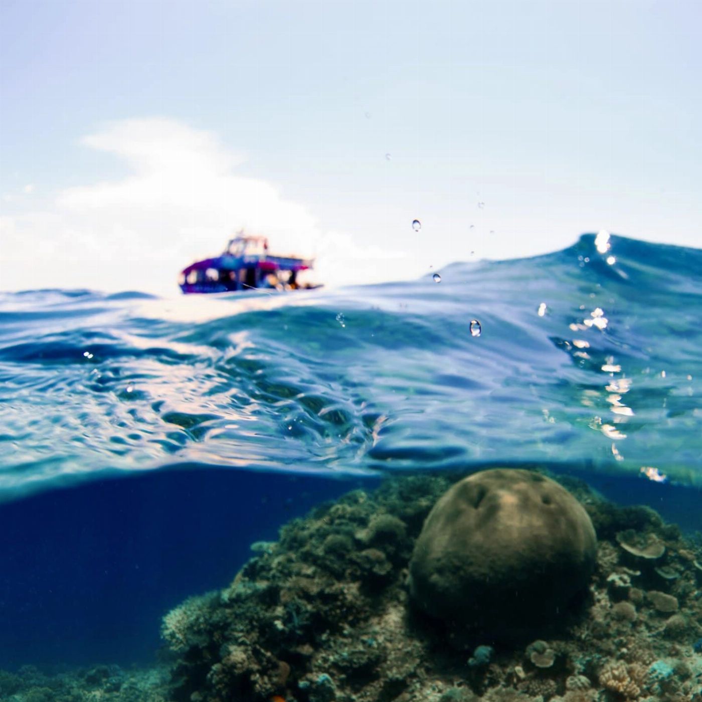 GSL Aviation Fly & Snorkelling Adventures