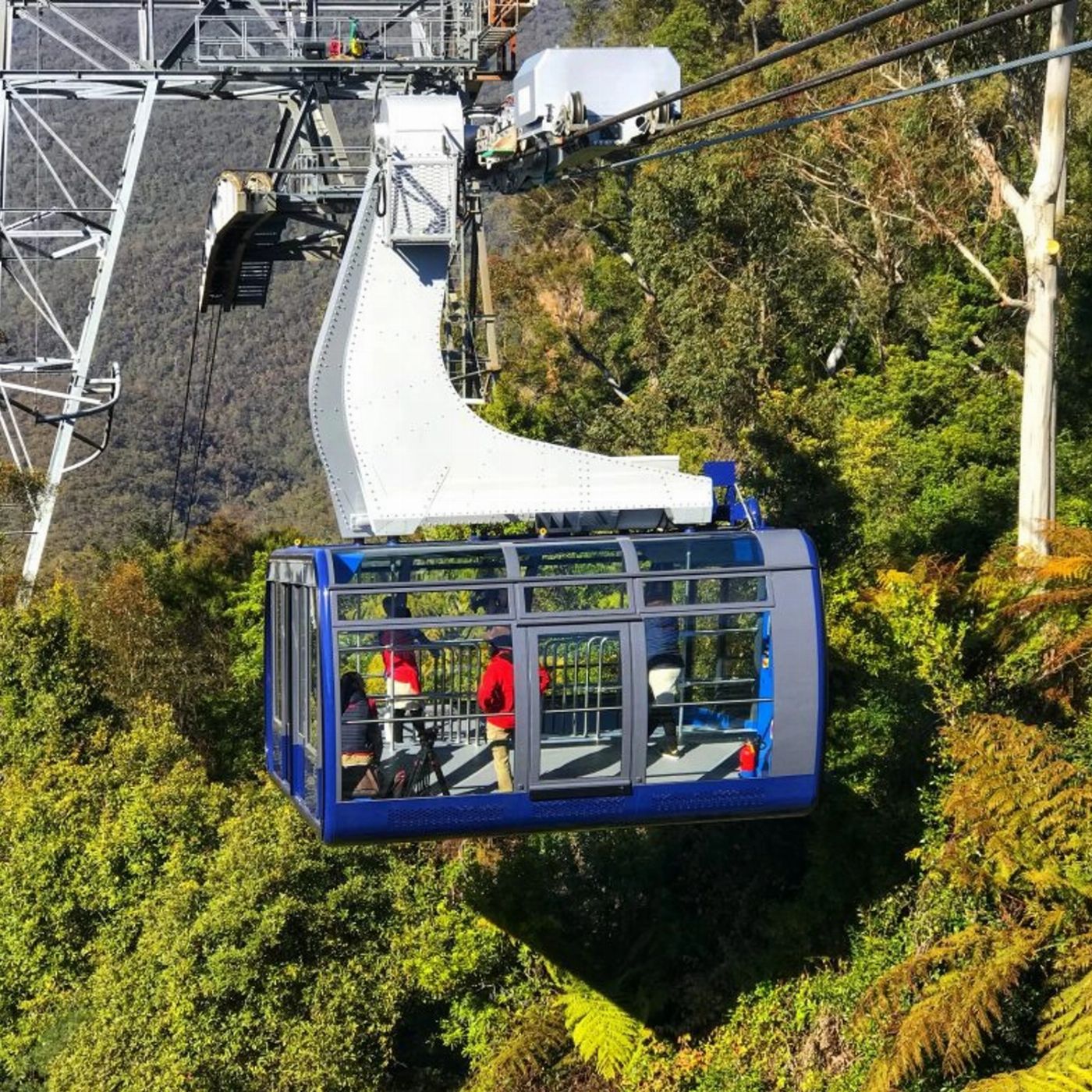 Brighton Coach & Tours Blue Mountain Half Day Experience