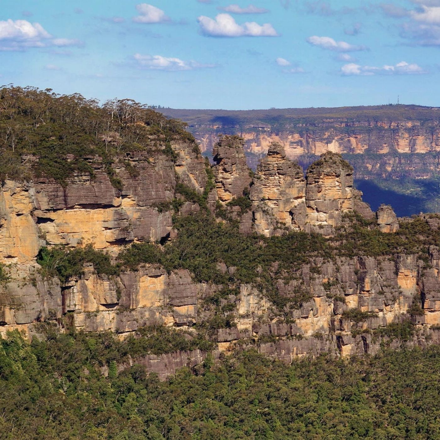 Brighton Coach & Tours Blue Mountain Half Day Experience