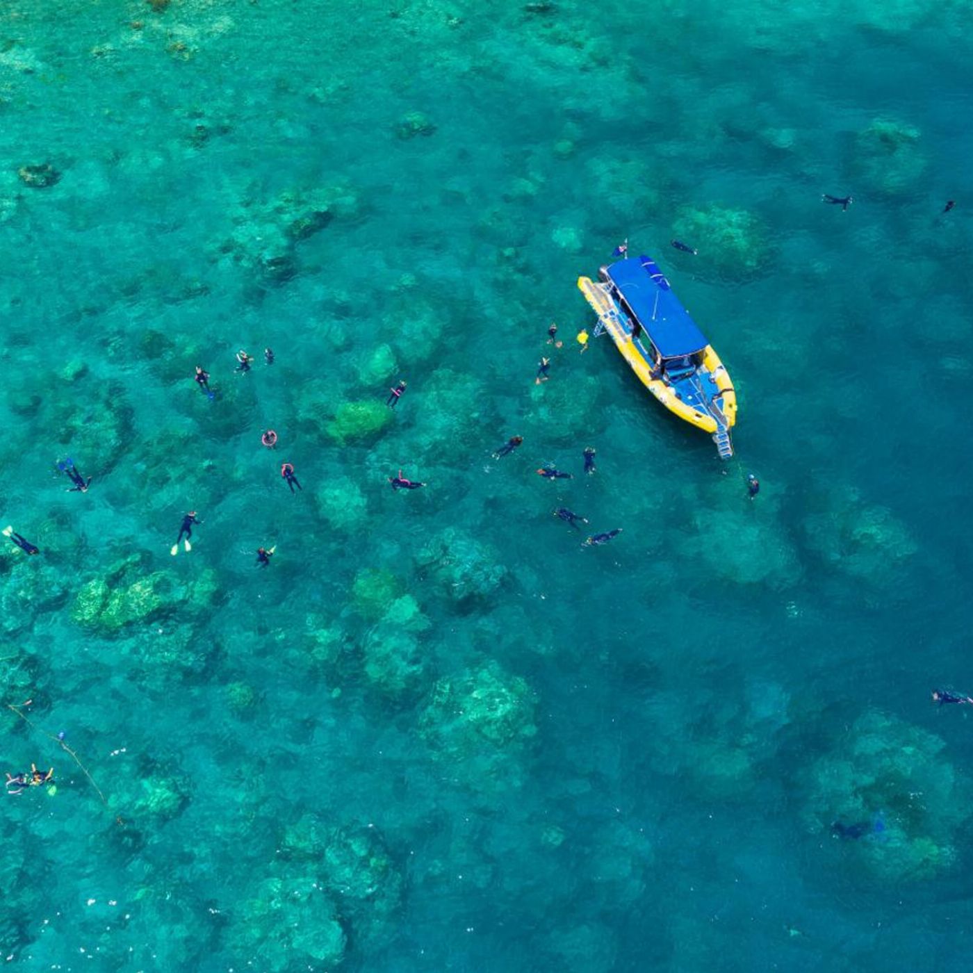 Ocean Rafting Half Day Splash | Morning | Reef and Snorkel