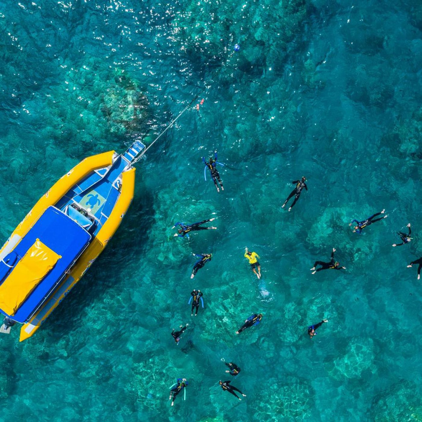 Ocean Rafting Half Day Splash | Morning | Reef and Snorkel