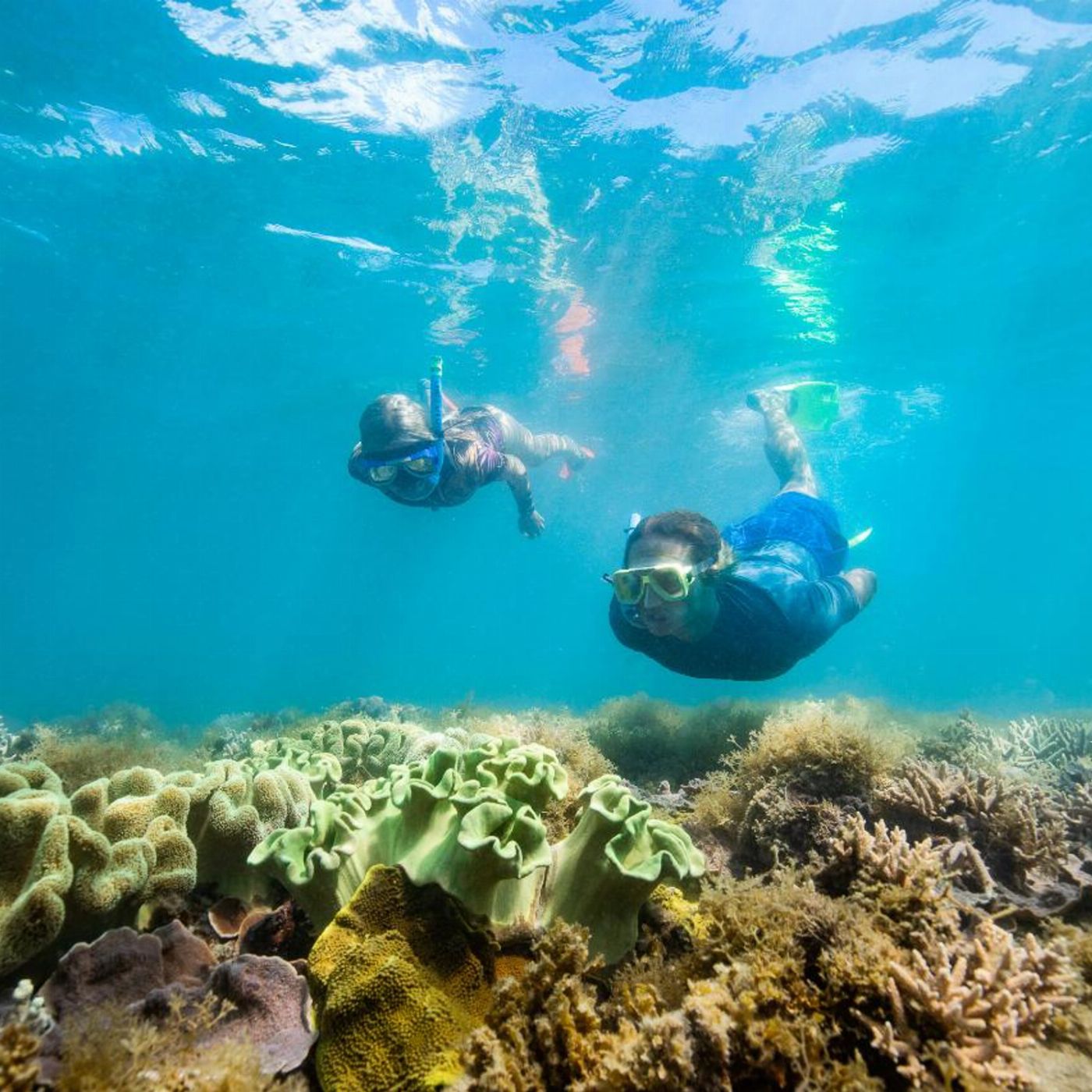 Ocean Rafting Half Day Splash | Morning | Reef and Snorkel