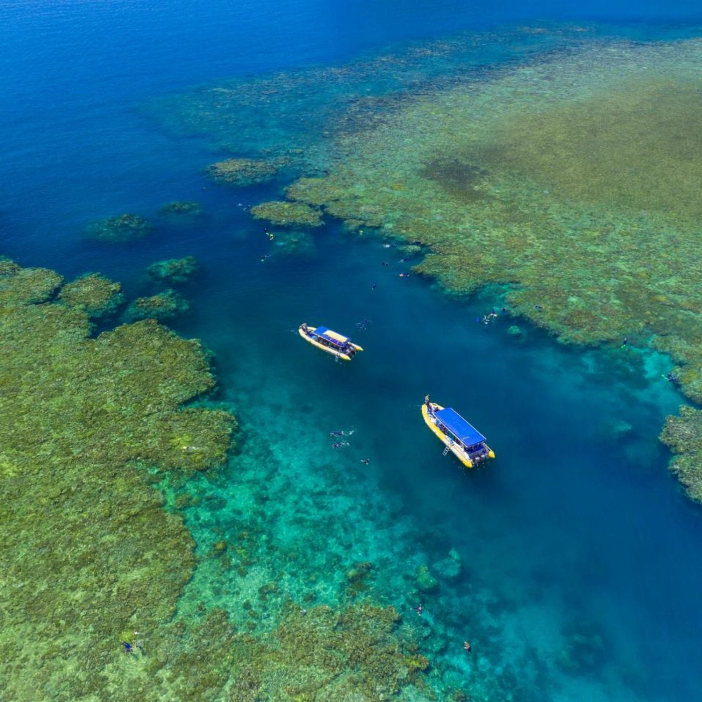 Ocean Rafting Half Day Splash| Afternoon | Reef and Snorkel