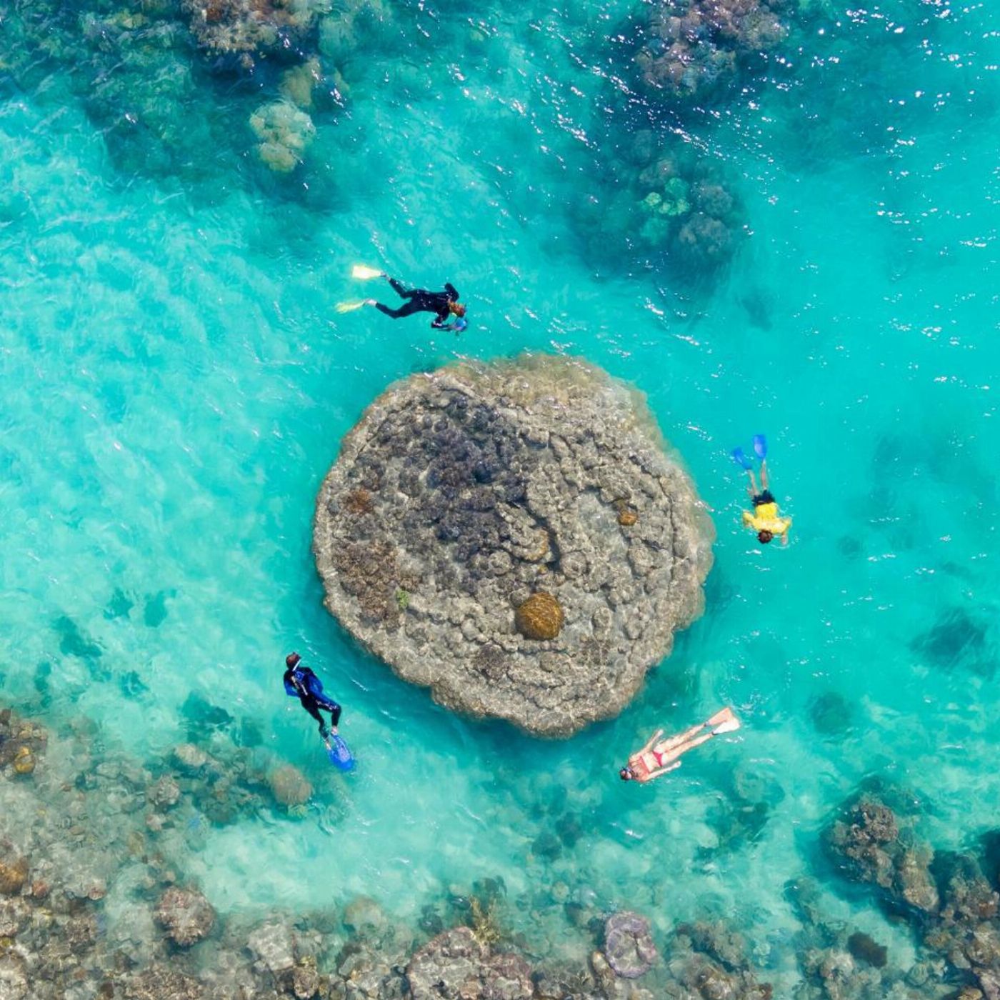 Ocean Rafting Full Day Eco Adventure | Ride, Beach, Snorkel and Bushwalk