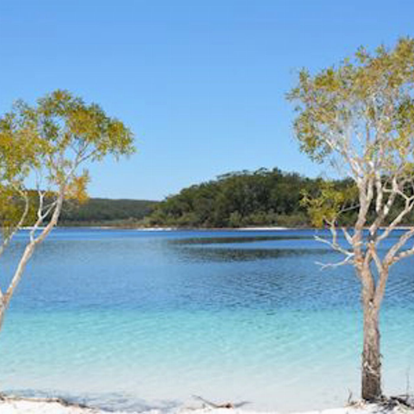 K'gari Explorer Tours K'gari 2 Day/1 Night Tour (ex Hervey Bay) - Dorm Occupancy