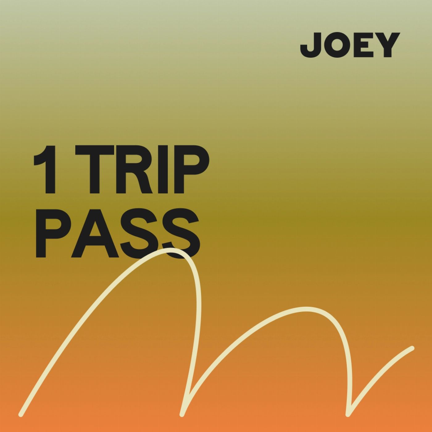 Joey Travel 1 Trip Pass (Noosa / Byron Bay / Brisbane / Gold Coast)
