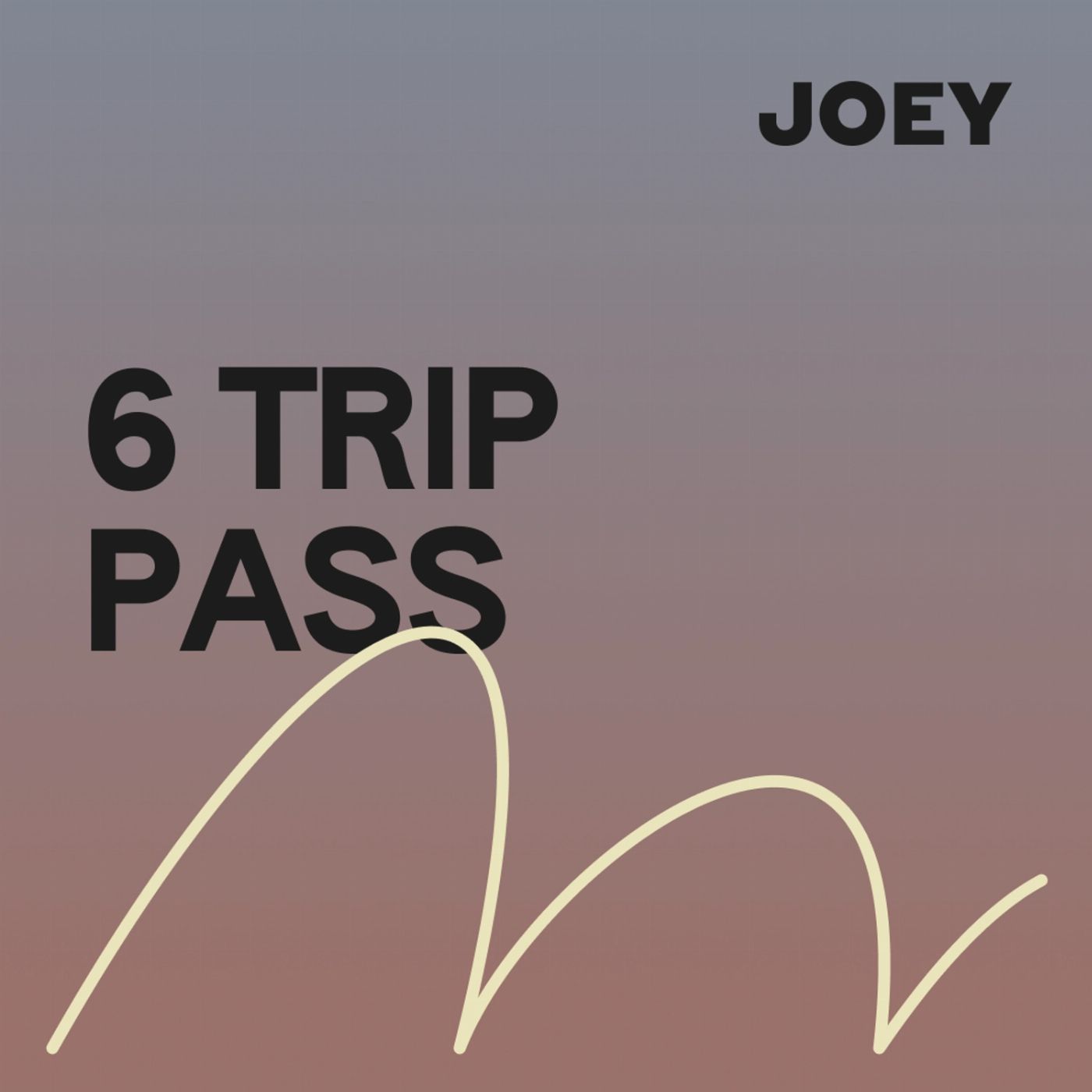 Joey Travel 6 Trip Pass (Noosa / Byron Bay / Brisbane / Gold Coast)