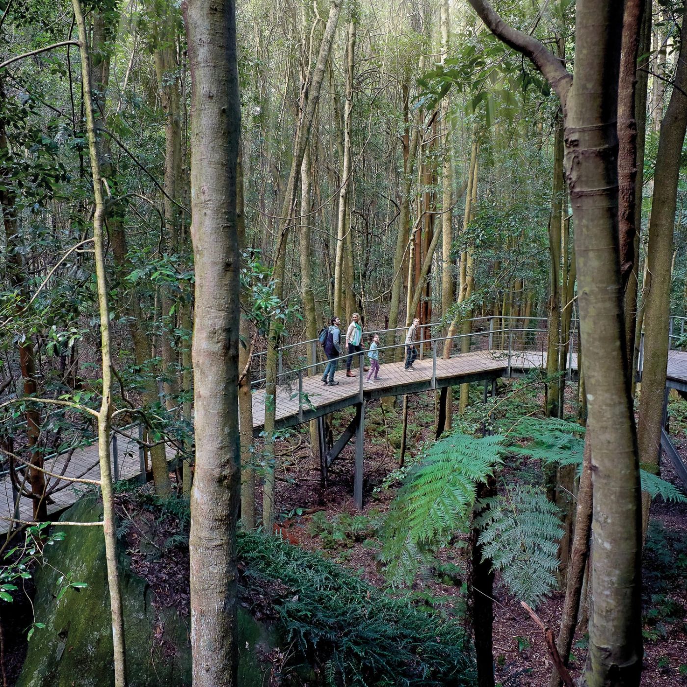 Wine Hop And Coastal Tours Blue Mountains Zig Zag Tour with Steam Train Ride, Scenic World, Three Sisters & Ferry Harbour Cruise