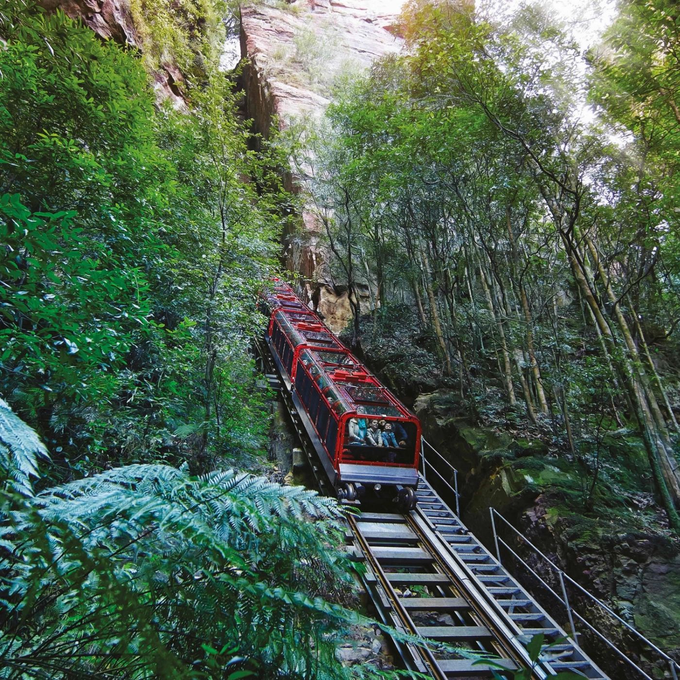 Wine Hop And Coastal Tours Blue Mountains Zig Zag Tour with Steam Train Ride, Scenic World, Three Sisters & Ferry Harbour Cruise