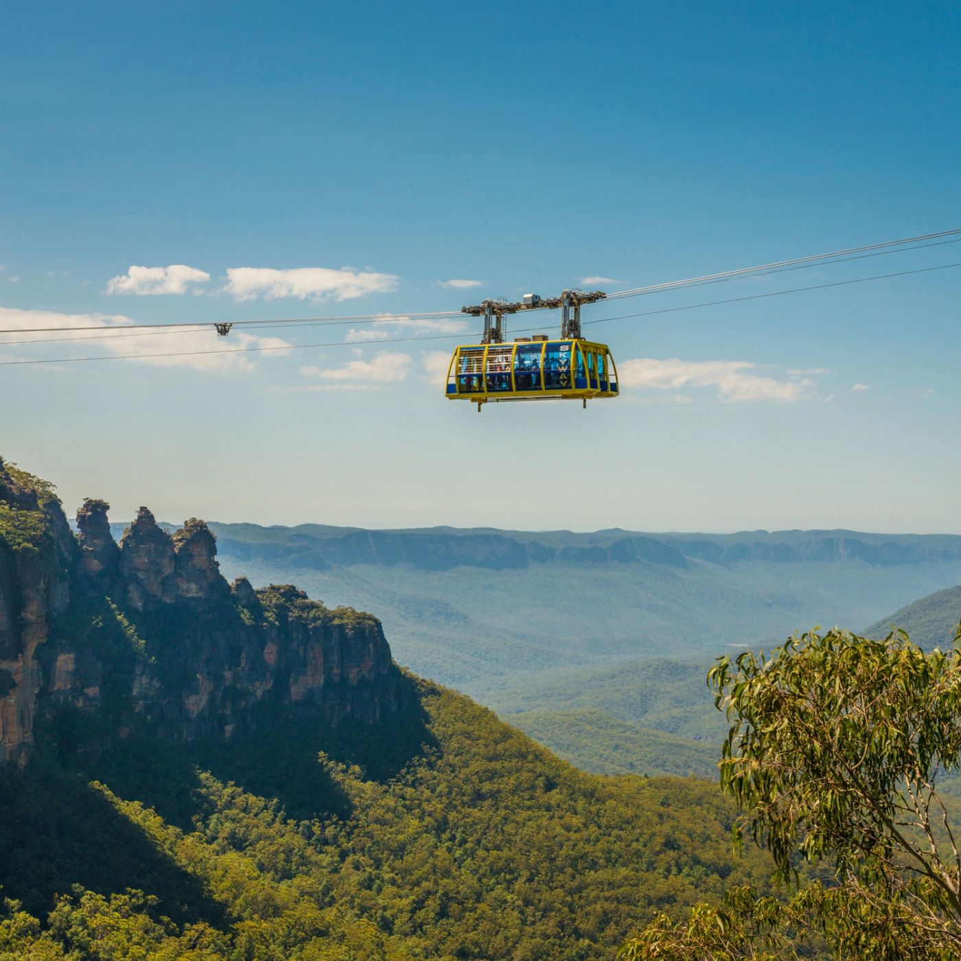 Wine Hop And Coastal Tours Blue Mountains Zig Zag Tour with Steam Train Ride, Scenic World, Three Sisters & Ferry Harbour Cruise