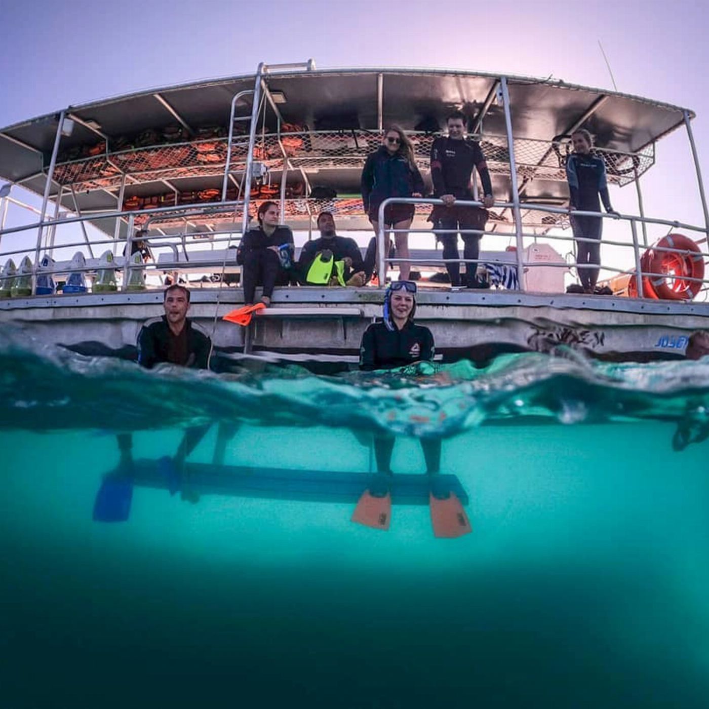 Tangalooma Island Resort Wrecked & Wild: Dolphins & Snorkel with Return Bus Transfers from Brisbane