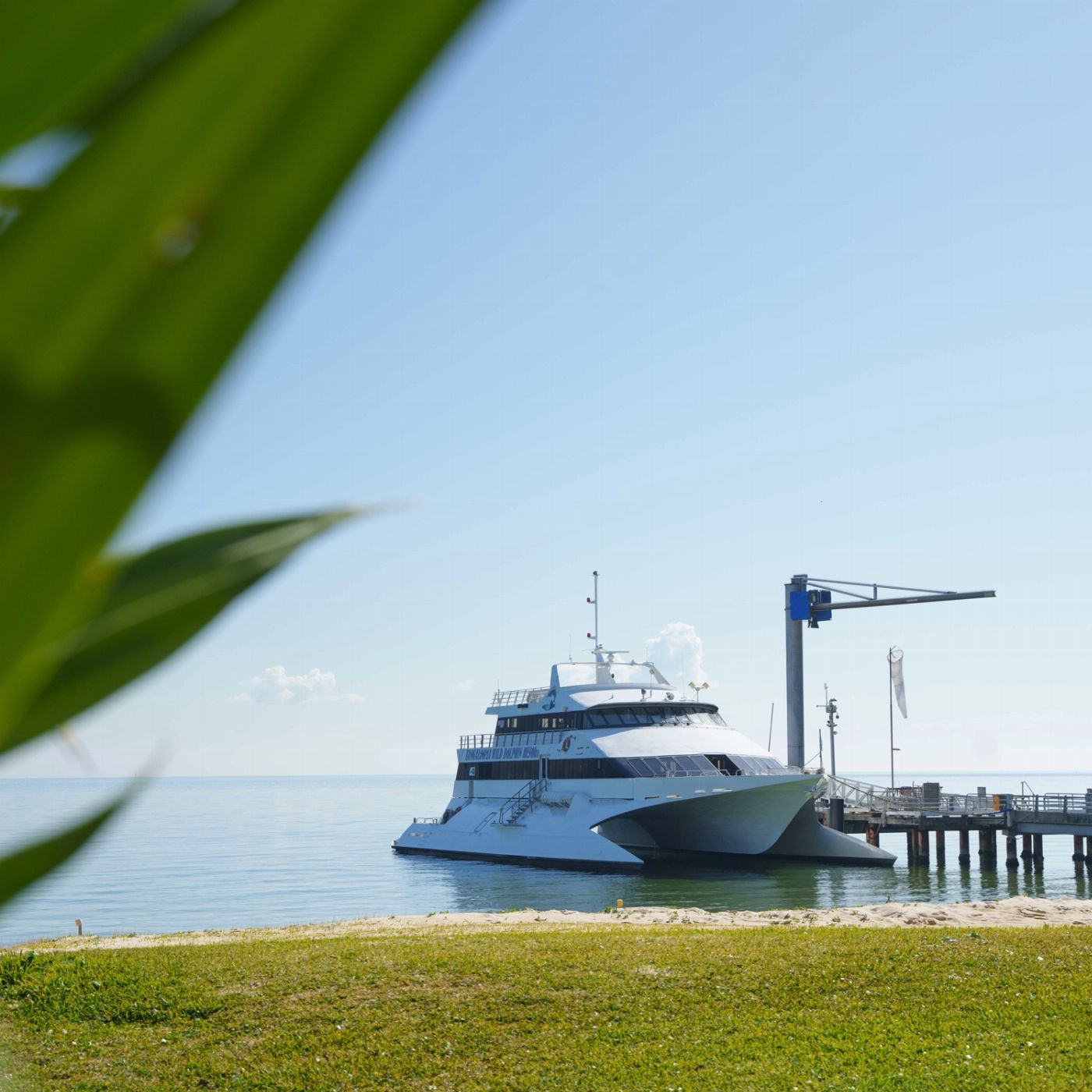 Tangalooma Island Resort Wrecked & Wild: Dolphins & Snorkel with Return Bus Transfers from Brisbane