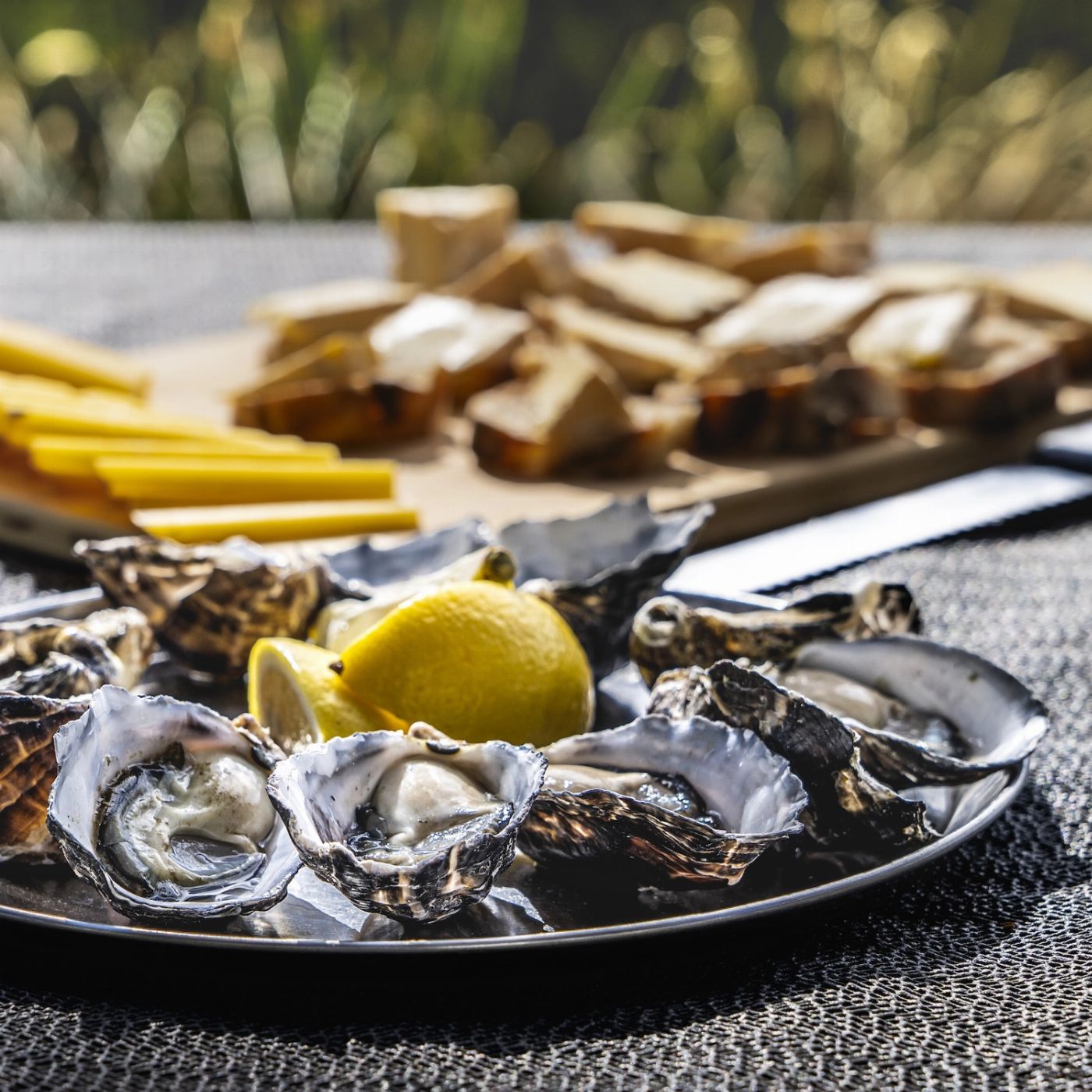 Bruny Island Safaris Bruny Island Essential Explorer
