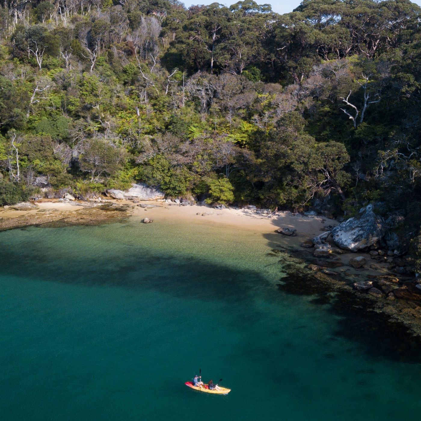 Manly Kayak Centre Single Kayak - 1 Hour Hire
