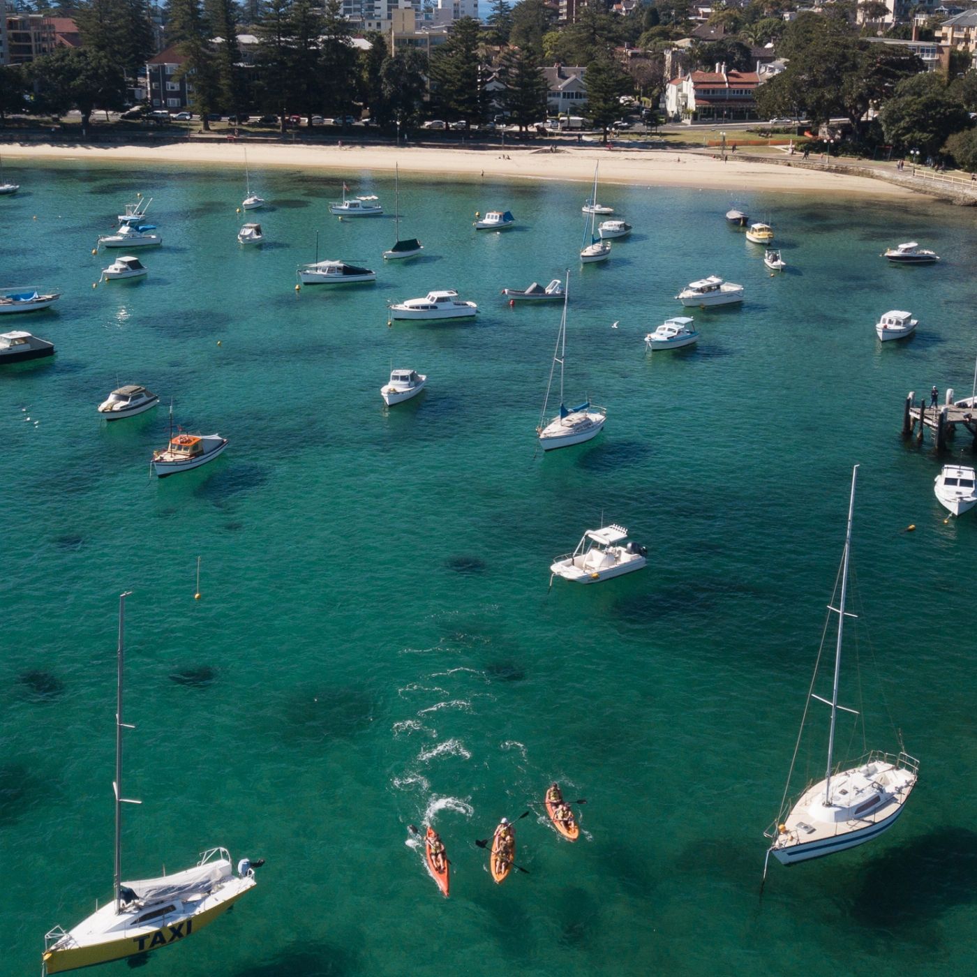 Manly Kayak Centre Single Kayak - 1 Hour Hire