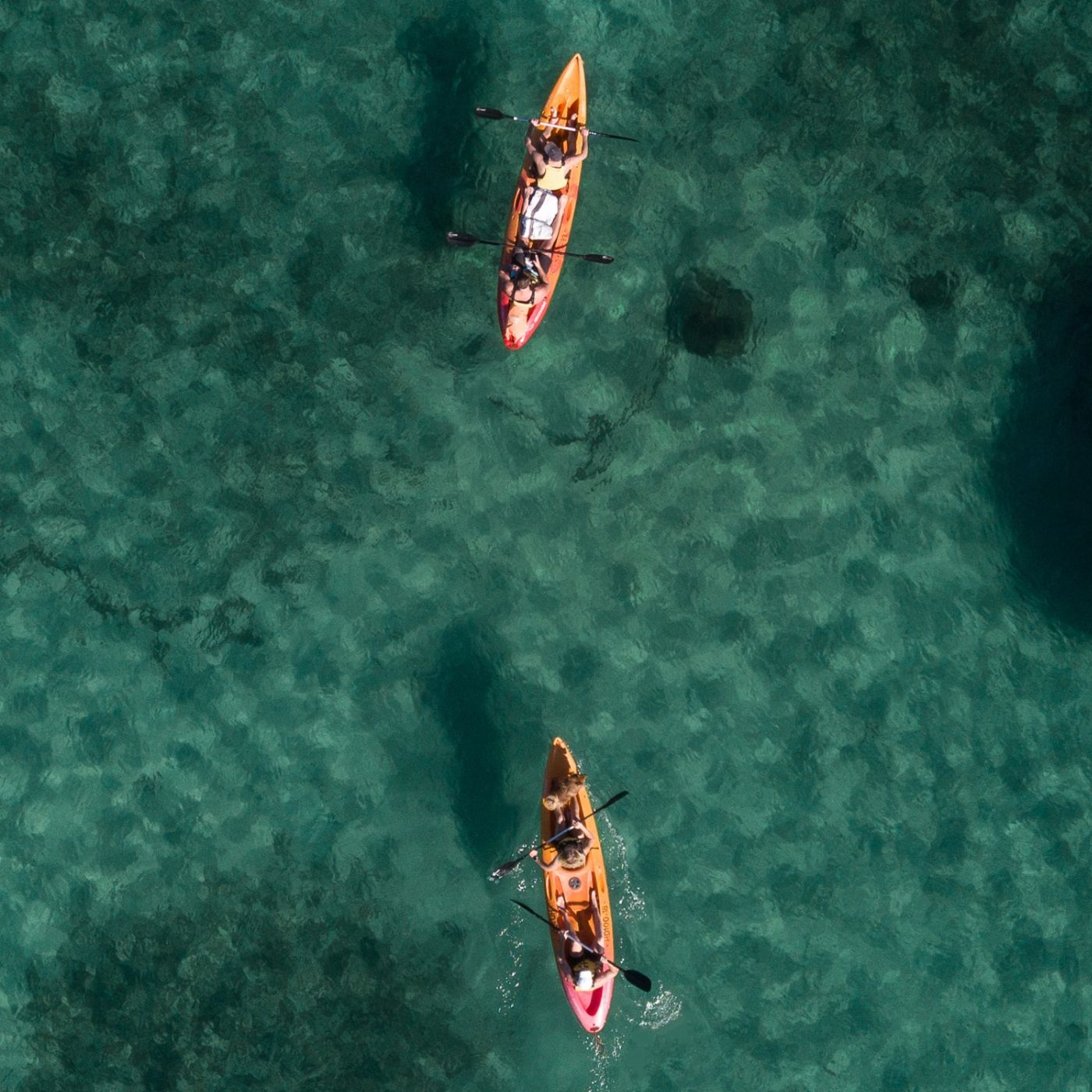Manly Kayak Centre Double Kayak - 1 Hour Hire