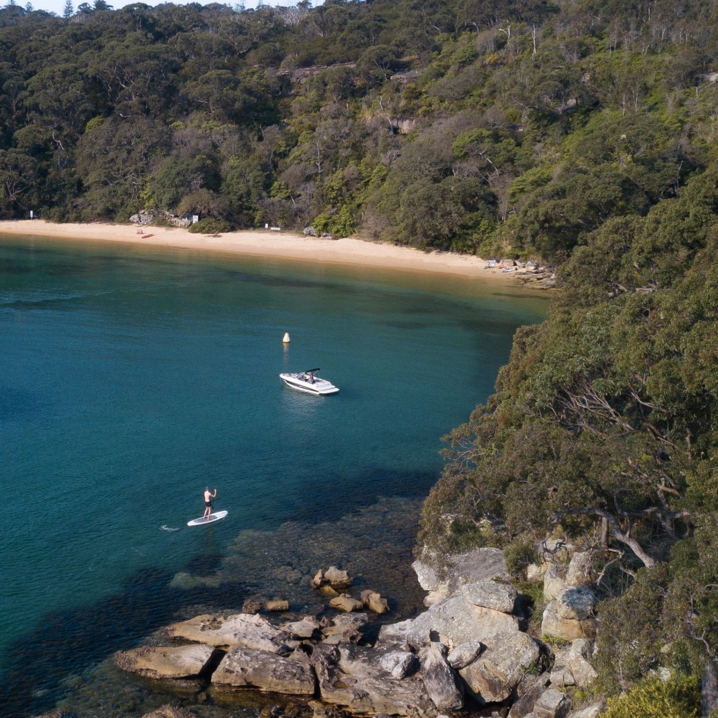 Manly Kayak Centre SUP - 2 Hour Hire