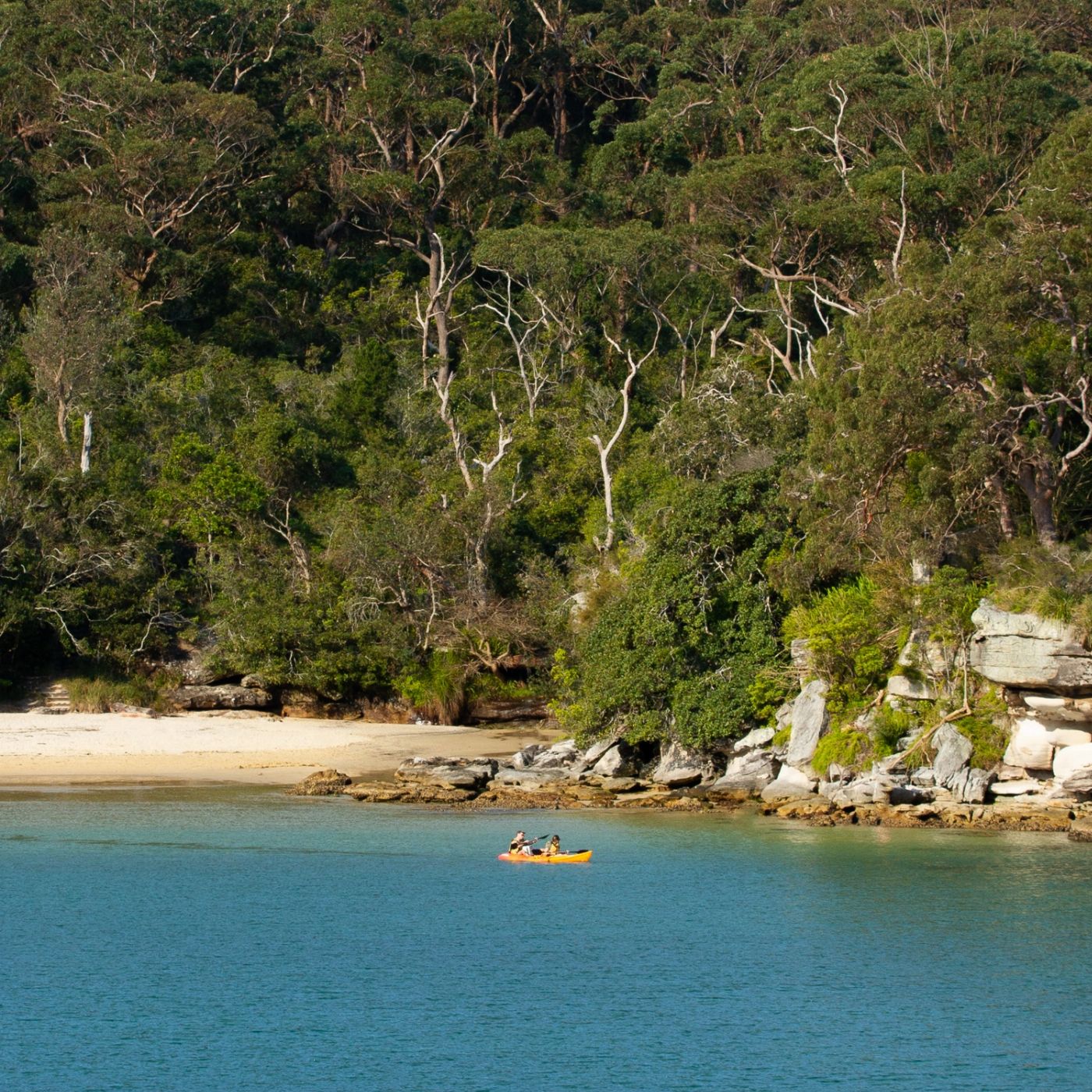 Manly Kayak Centre Three Beaches Kayak Tour - 4 hours