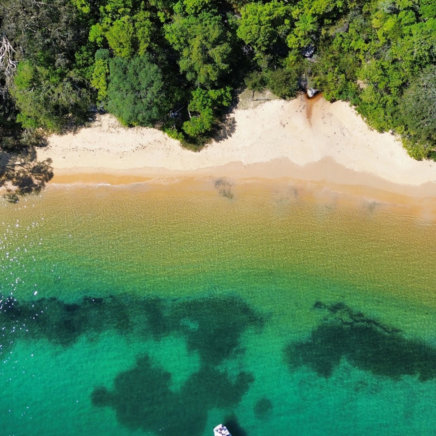 Manly Kayak Centre Boat Hire - 4 Hour Hire