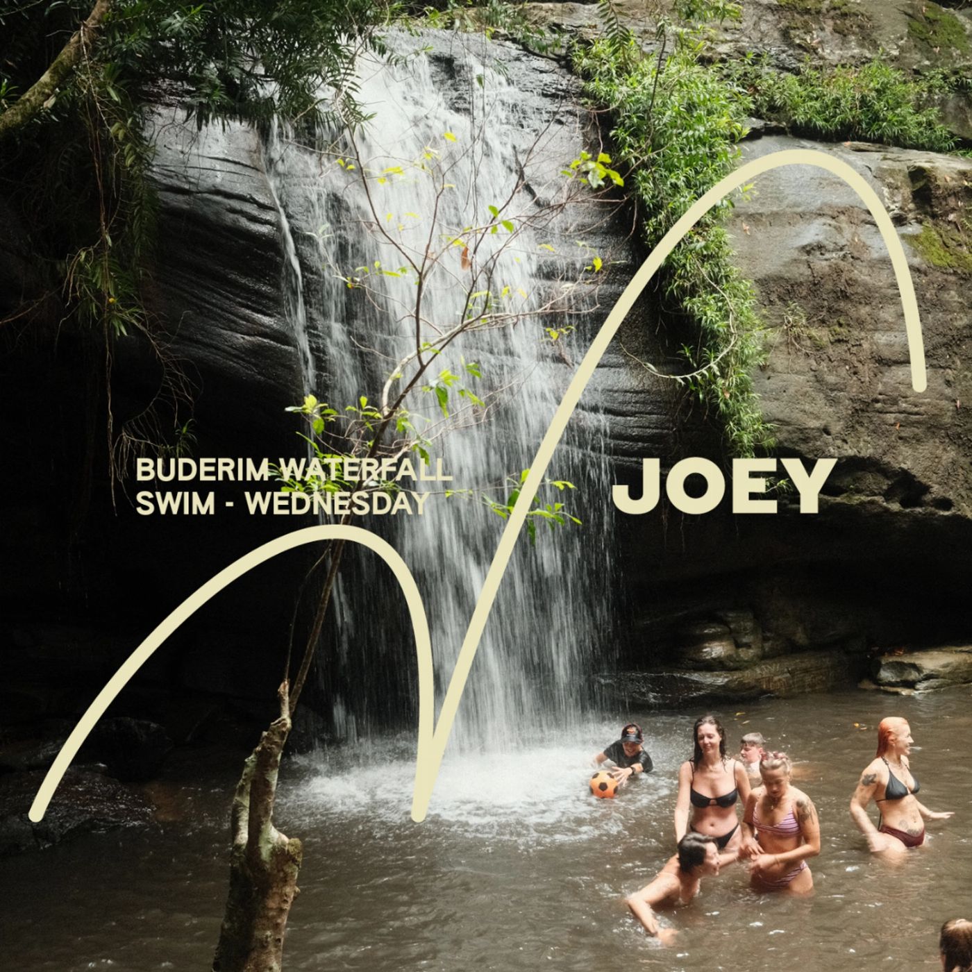 Joey Travel Buderim Waterfall Trip