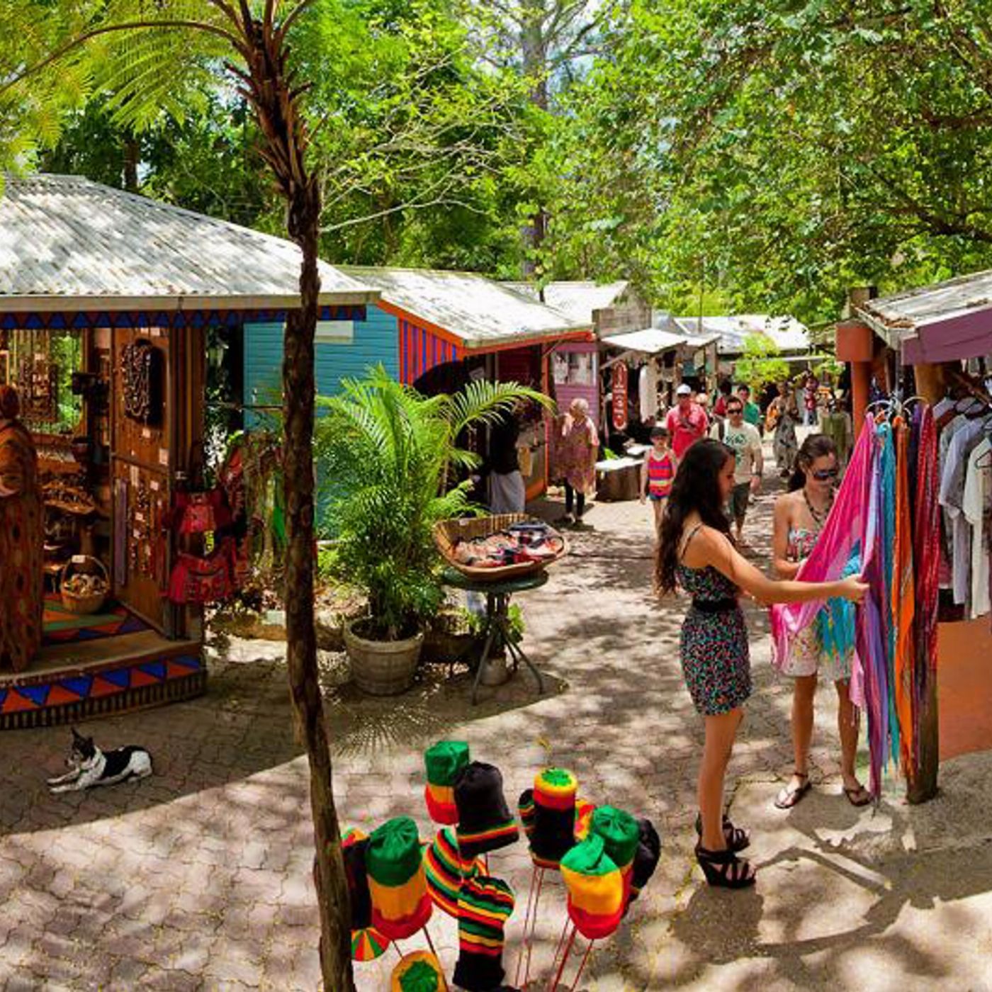 Down Under Tours Kuranda Self Drive: Skyrail (09:45am) and Scenic Rail (2:00pm)