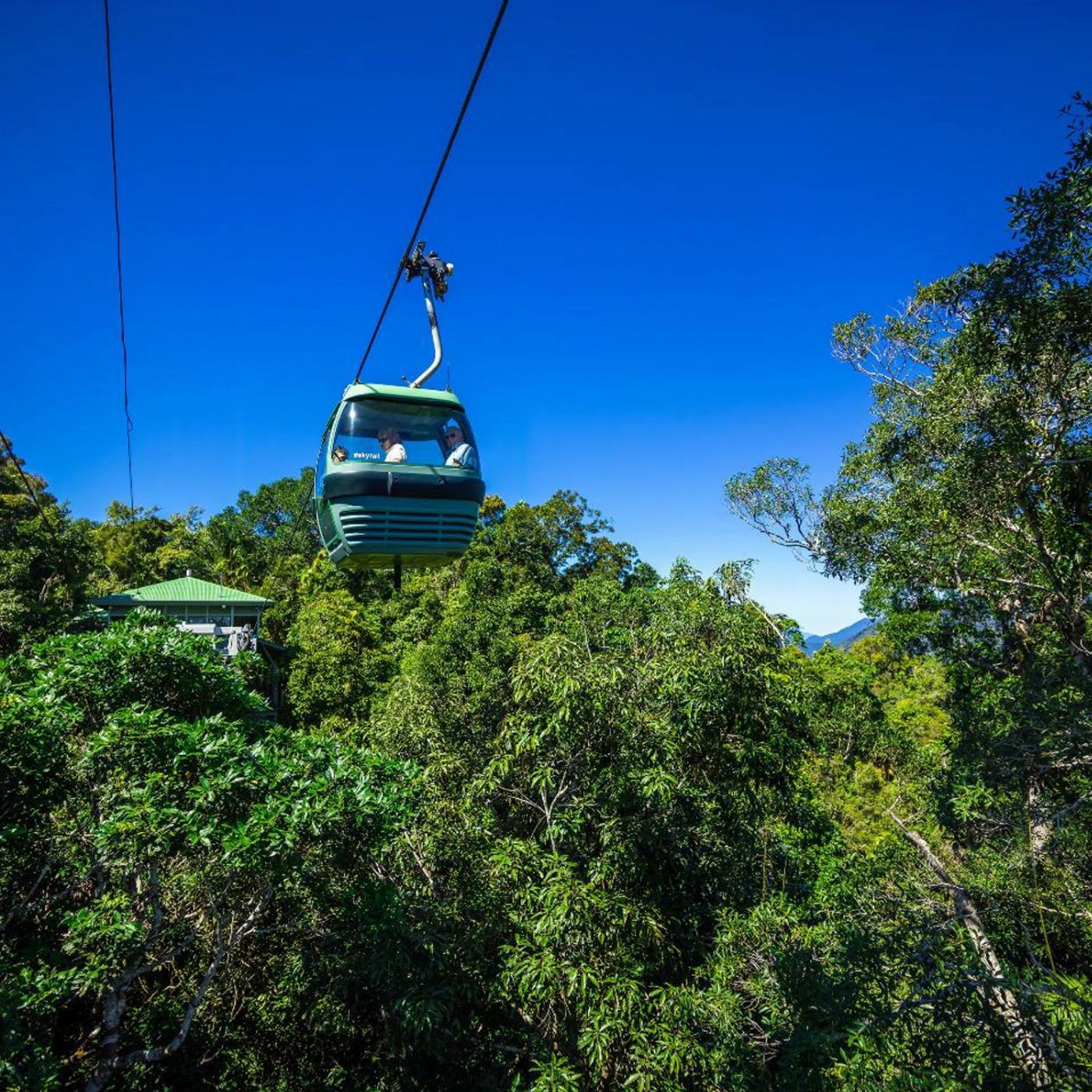 Down Under Tours Kuranda Self Drive: Skyrail (09:45am) and Scenic Rail (2:00pm)
