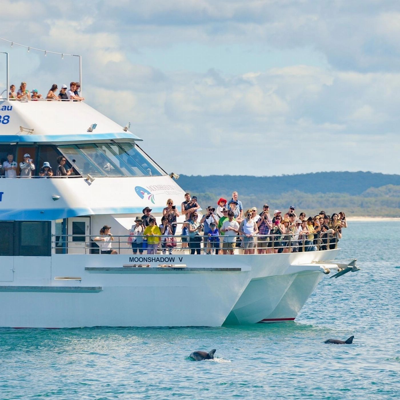 Moonshadow-TQC Cruises Port Stephens: 1.5hr Dolphin Discovery Cruise
