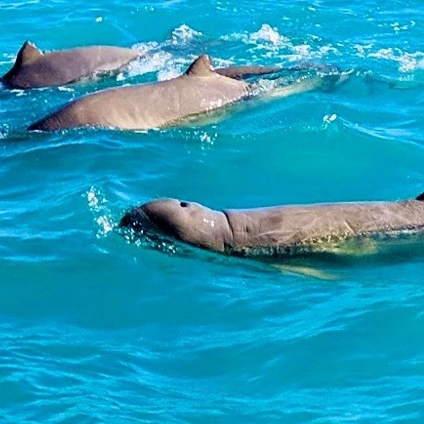 Broome Adventure Cruises Living Coastline Cruises