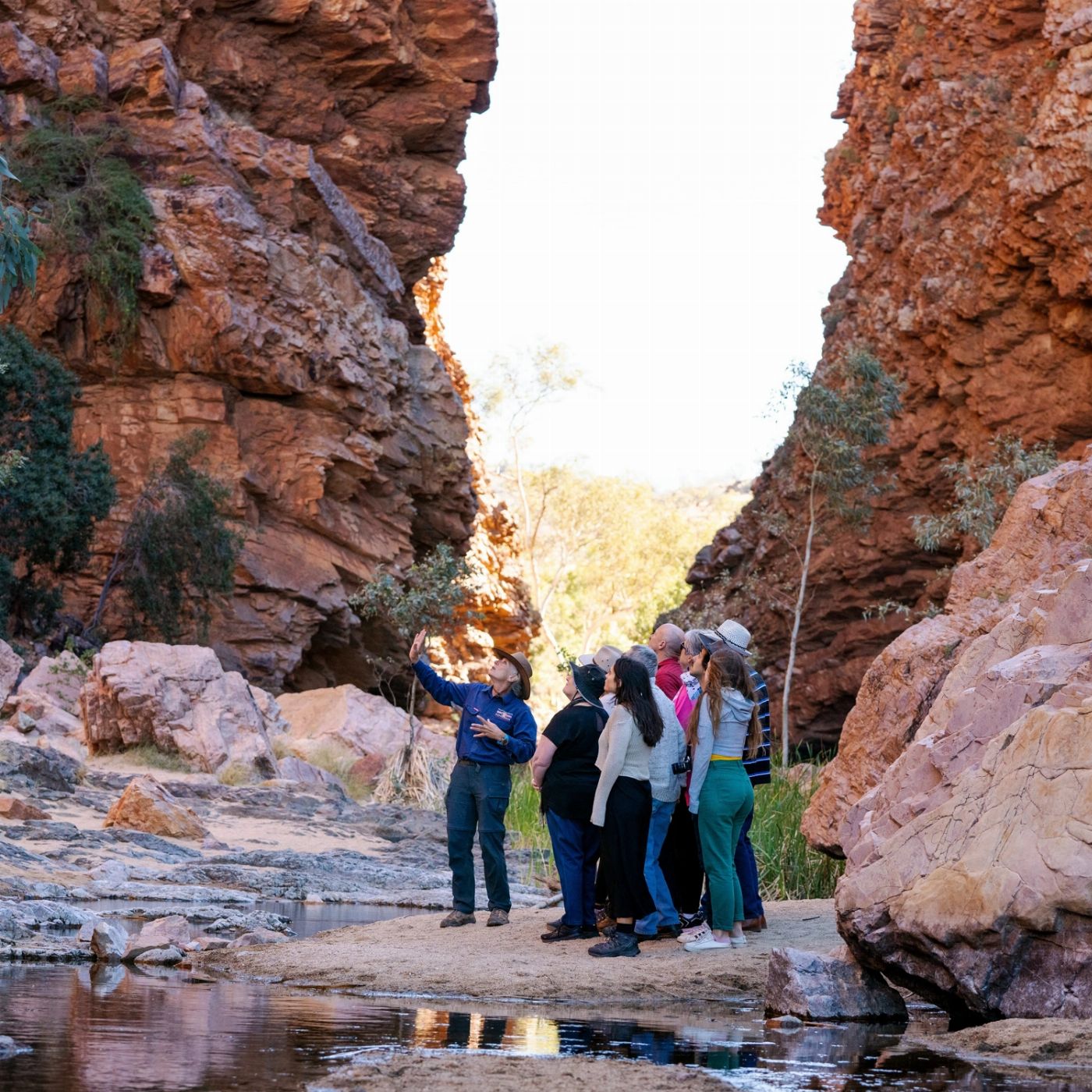 Discovery Tours Uluru, Kata Tjuta, Kings Canyon & MacDonnell Ranges 5 Day Tour - Yulara to Alice Springs