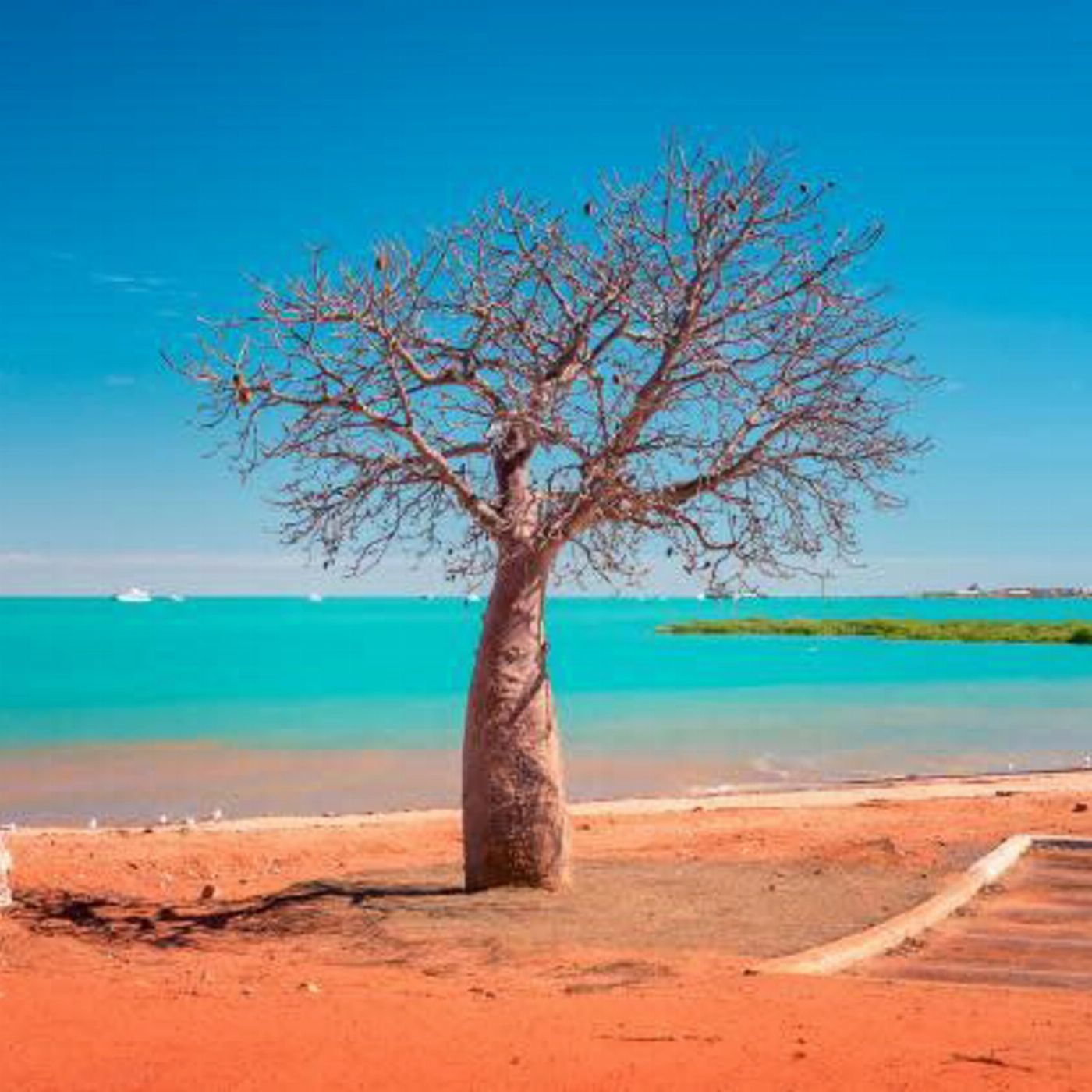 Broome And Around Bus Charters and Tours Luxury Private Broome Experience – VIP Discovery Tour - Luxury 7 Seater 4WD Vehicle