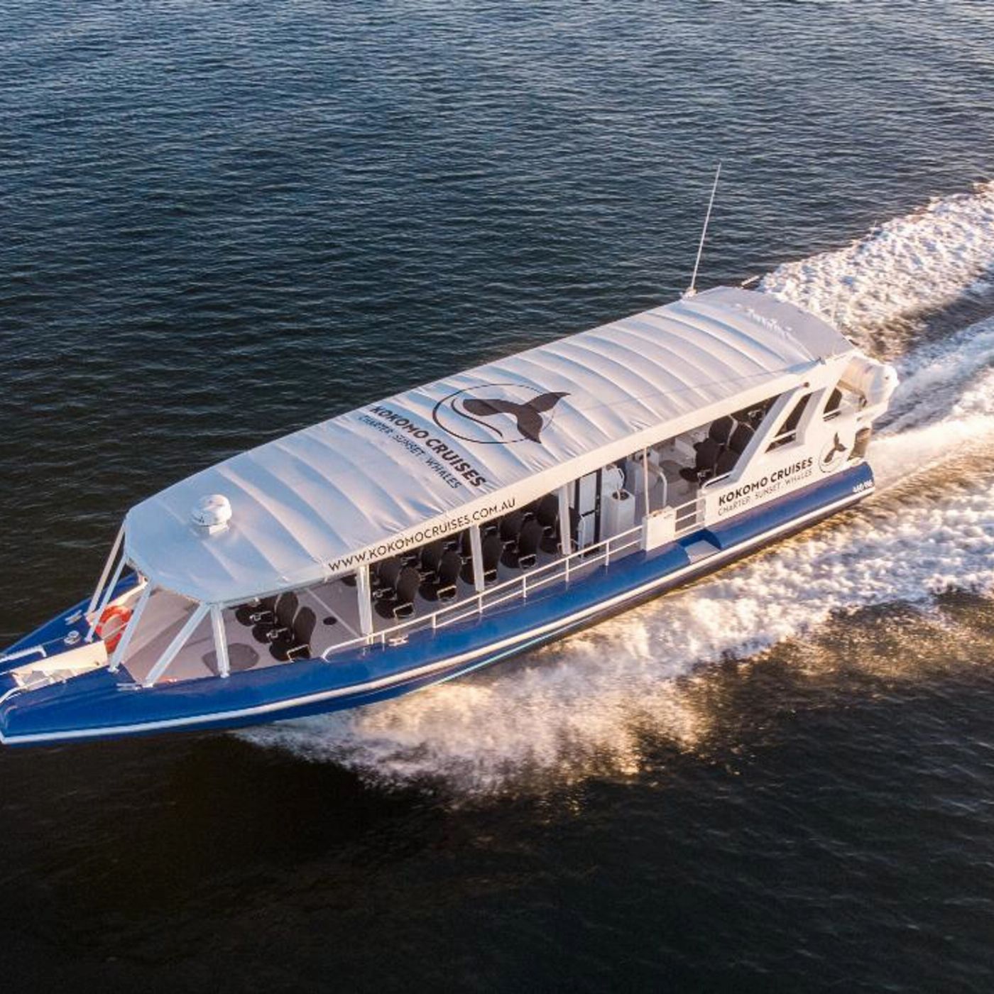 Kokomo Cruises Whale Watching Cruise