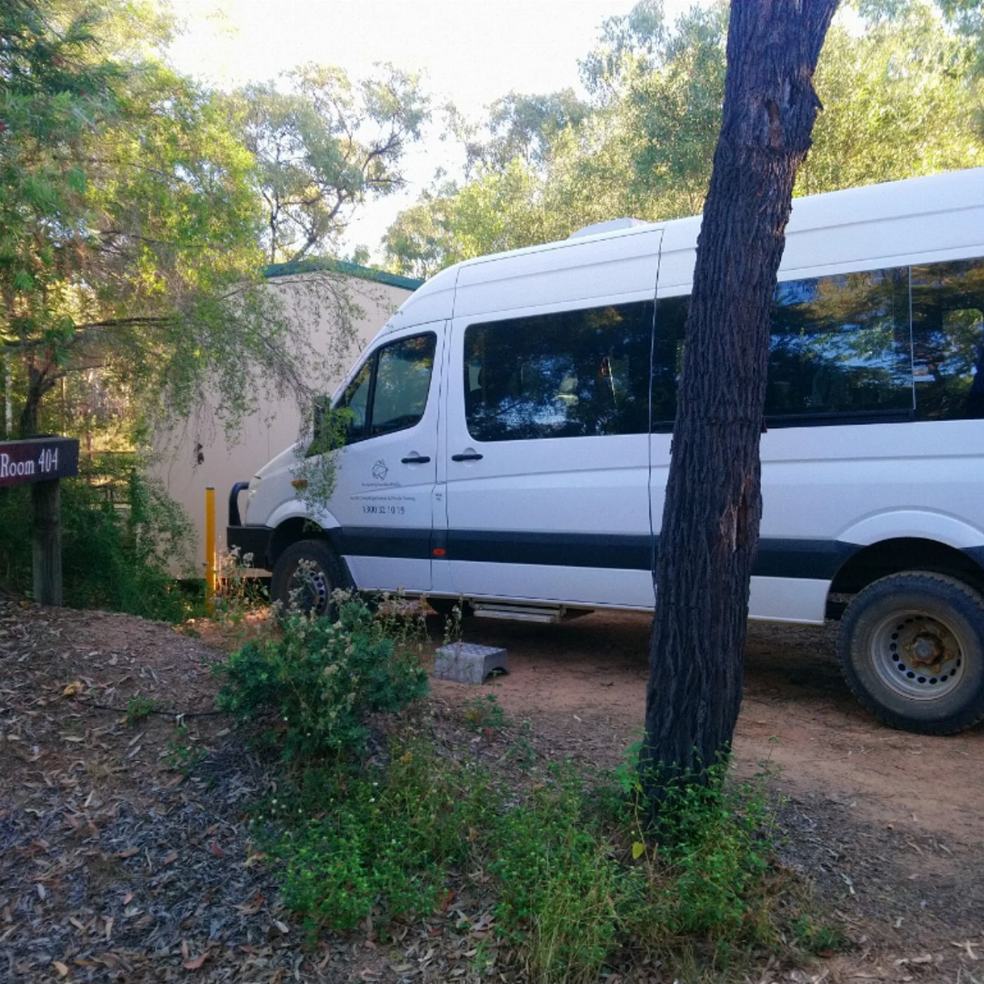 Discovery Tours Undara, Cobbold Gorge & Outback 4 Day Tour (Single)