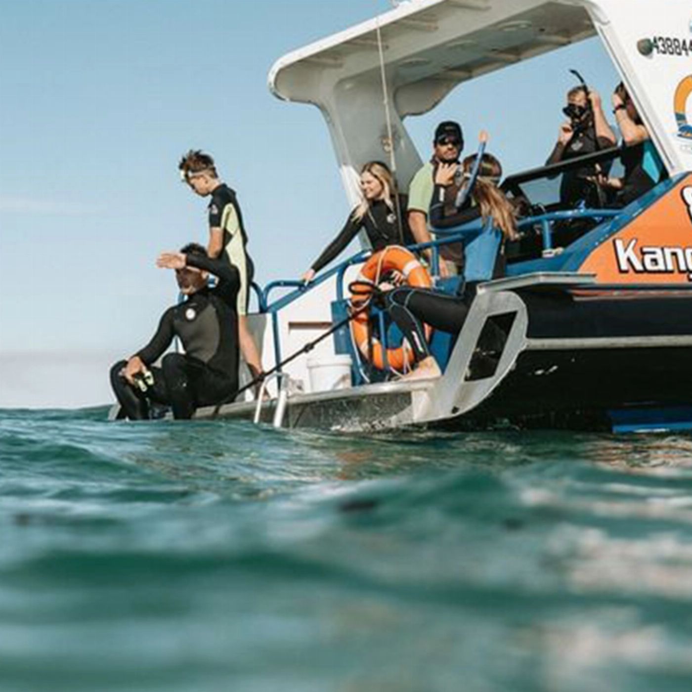 Kangaroo Island Marine Adventures Kangaroo Island Dolphin Swim & Marine Wildlife Tour