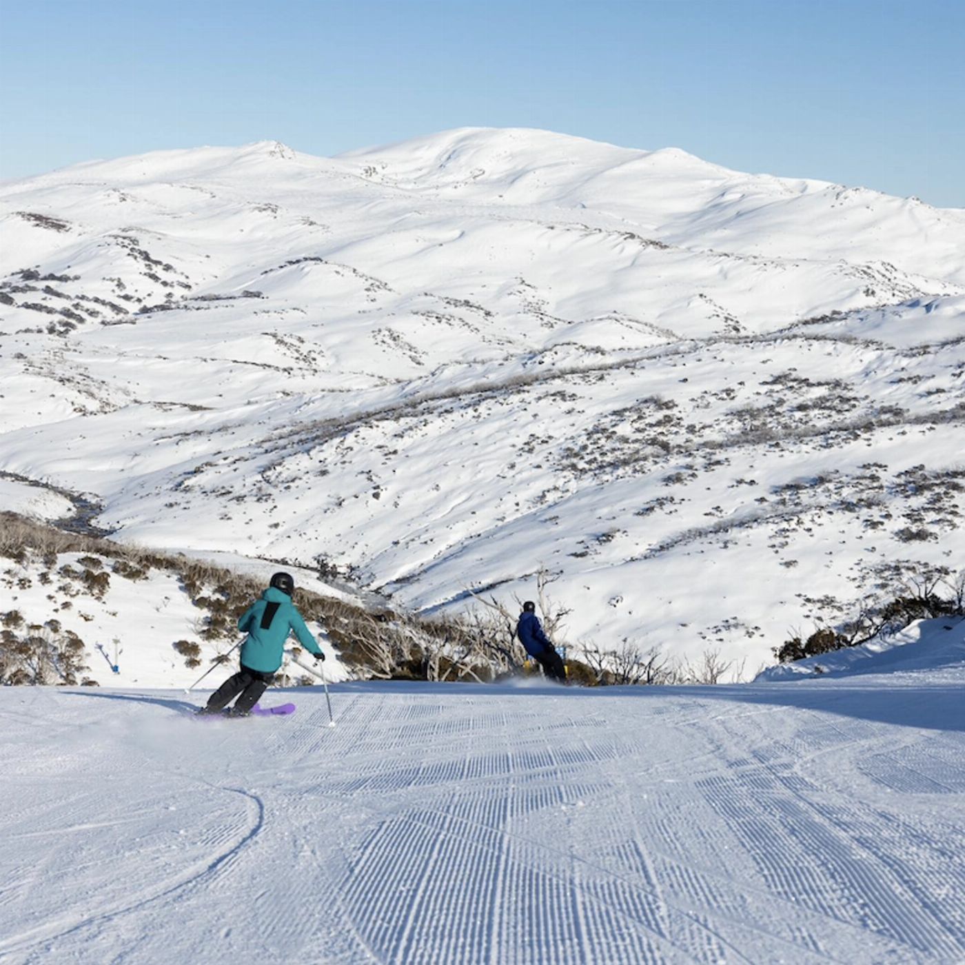 Ozia Tours 1 Day Perisher Snow Tour (City Pickup)