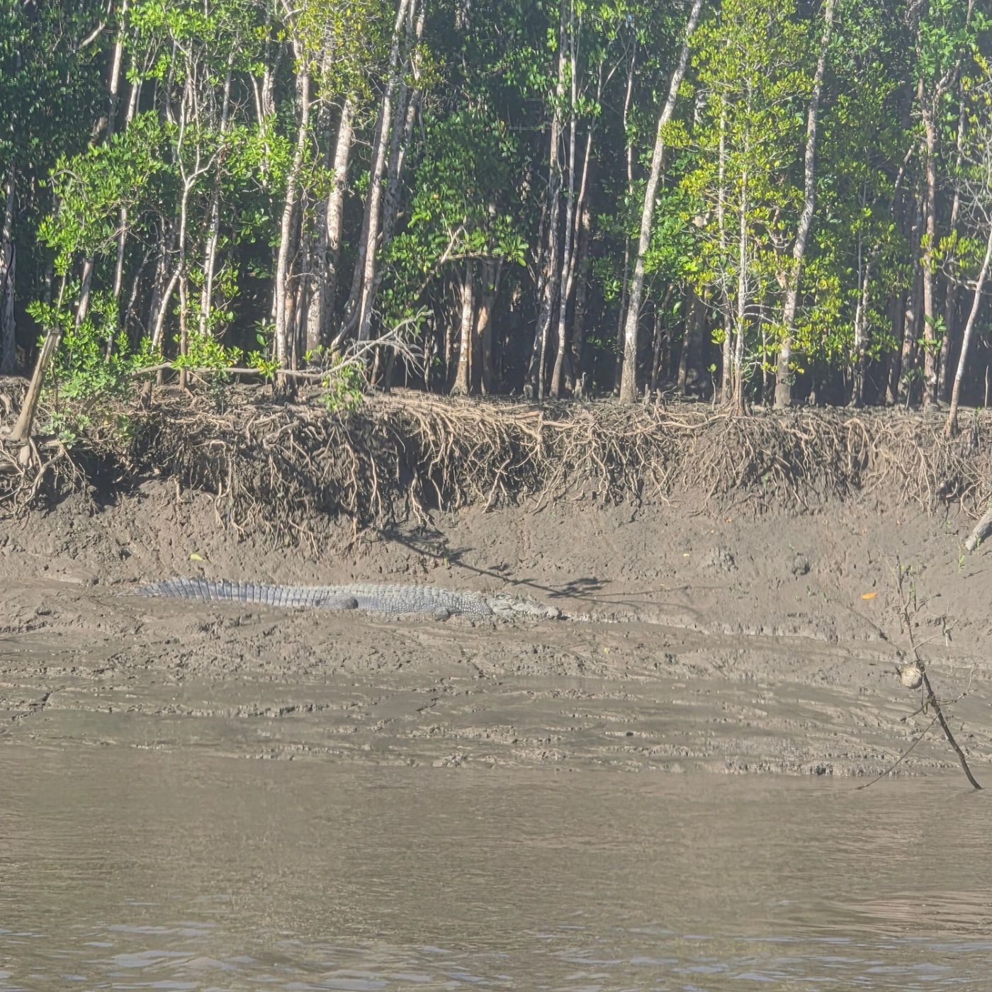 Whitsundays Fishing Guide Full Day Proserpine River Fishing & Crabbing - private charter (up to 3 people)
