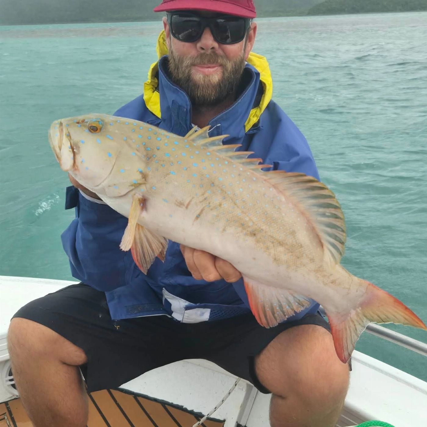 Whitsundays Fishing Guide Half Day Whitsundays Fishing Charter - private charter (up to 3 people)