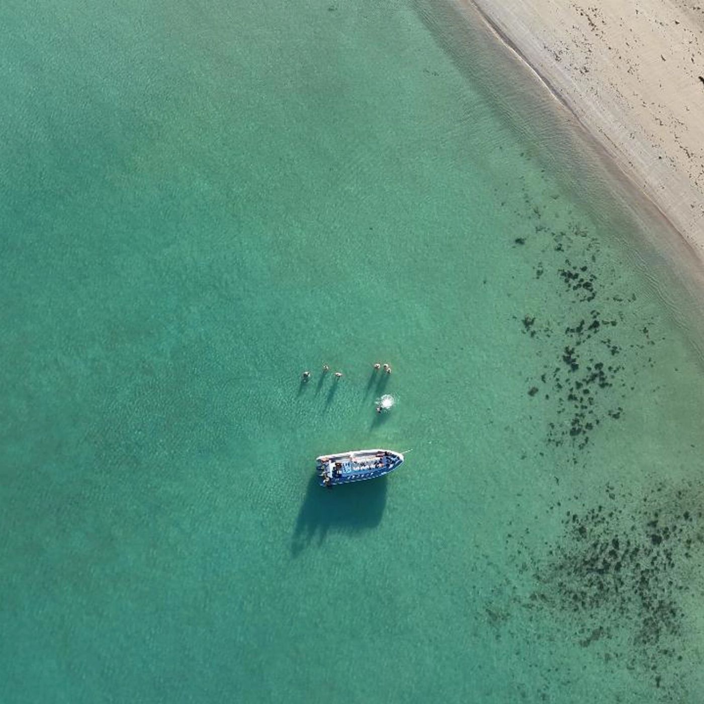 Lethal Adventures Archipelago Wildlife Explorer Tour