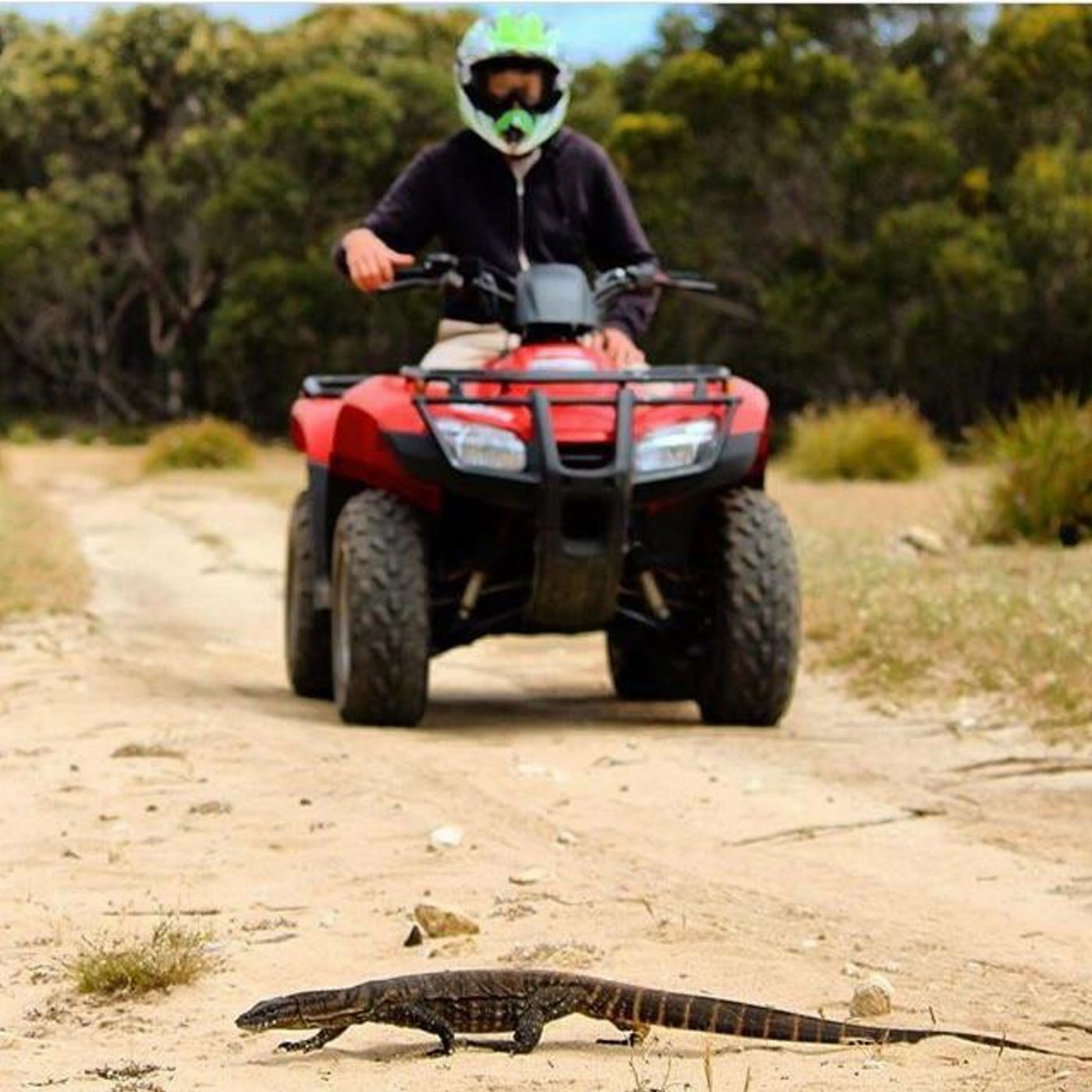 Kangaroo Island Outdoor Action All Terrain Quad Adventure