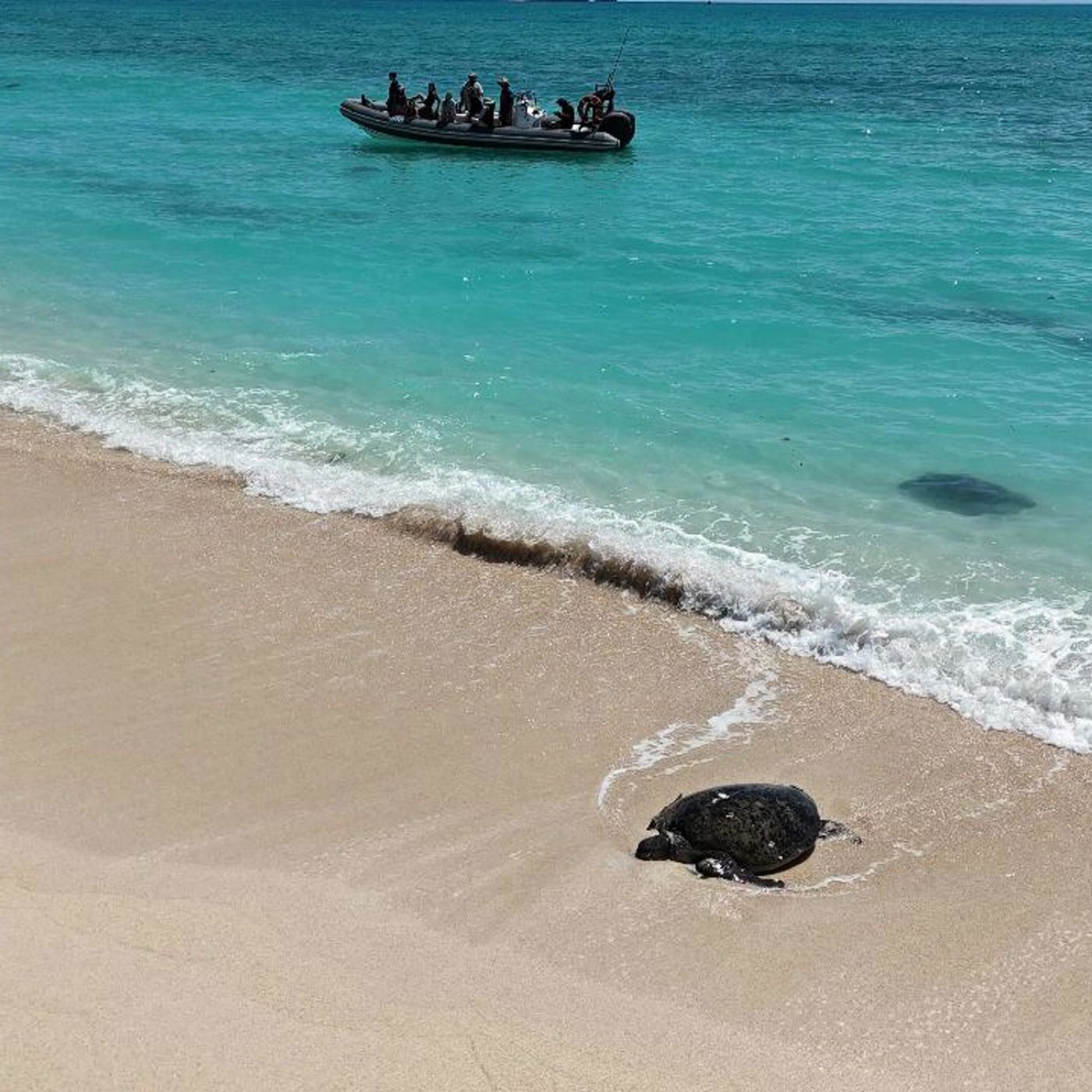 Lethal Adventures Full Day Private Charter