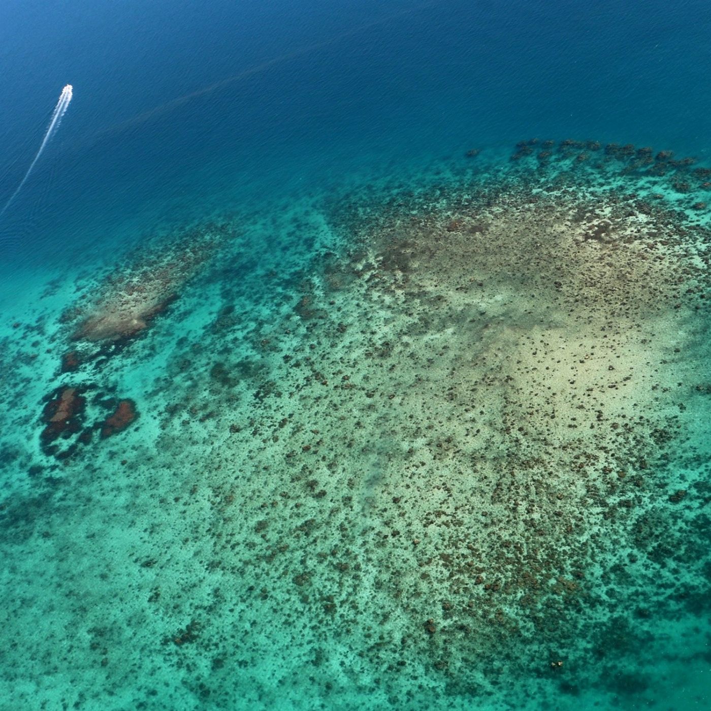 Zoom Helicopters 30 Minute Reef Scenic - Inner Reef Explorer