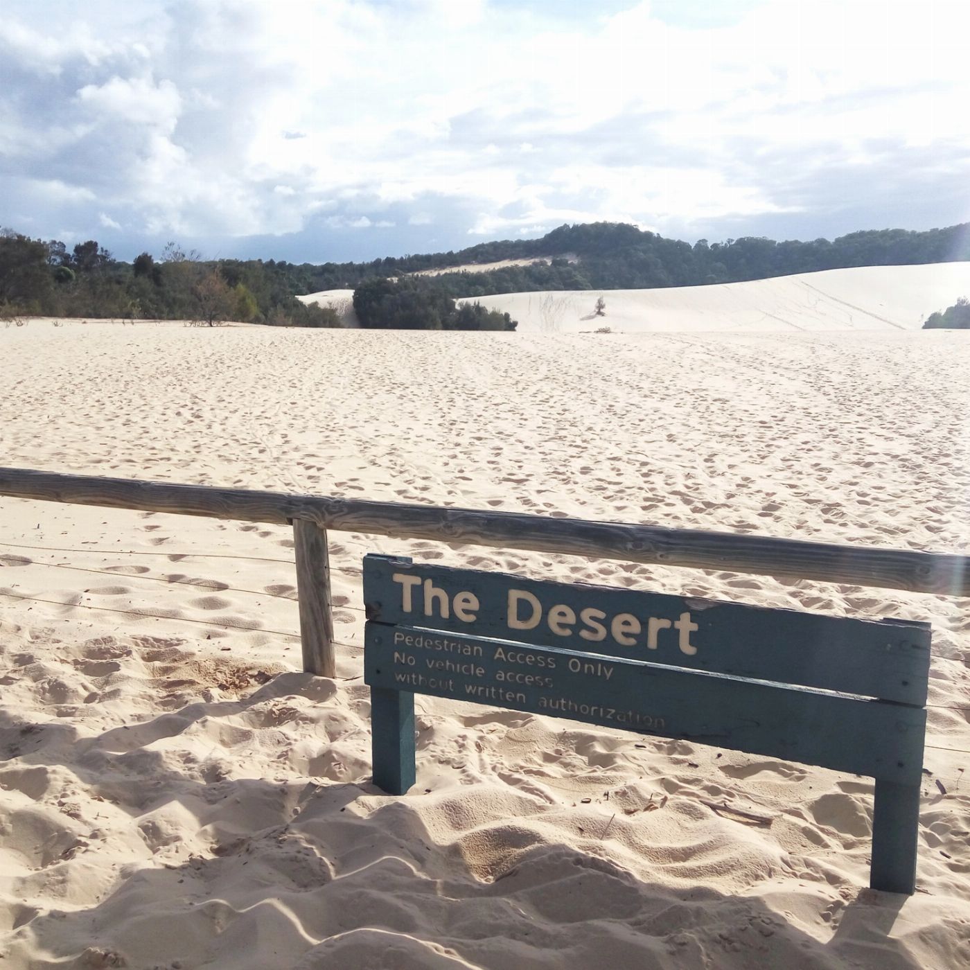 Sunset Safaris Moreton Island 'Get Wrecked' Tour (Backpacker / Student Special) ex Brisbane