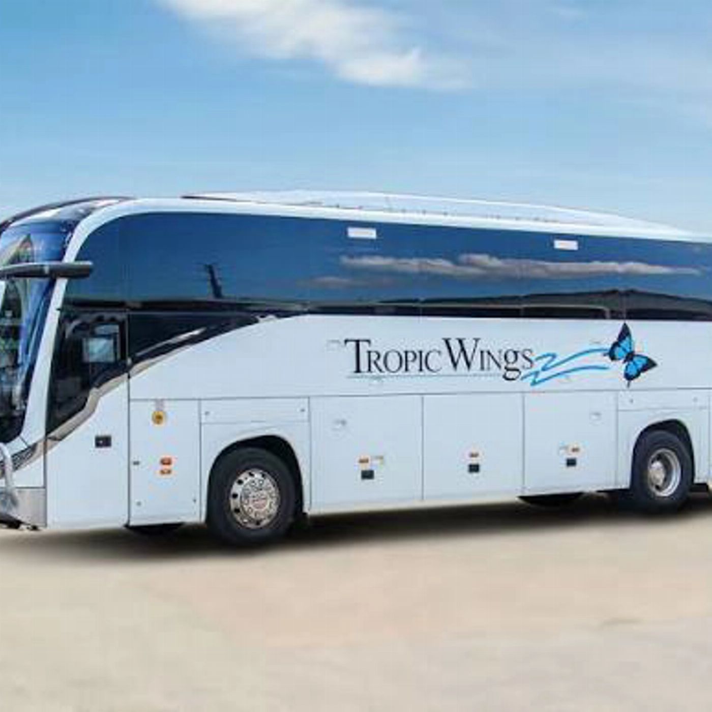 Tropic Wings Transfers from Cairns to Port Douglas - Return