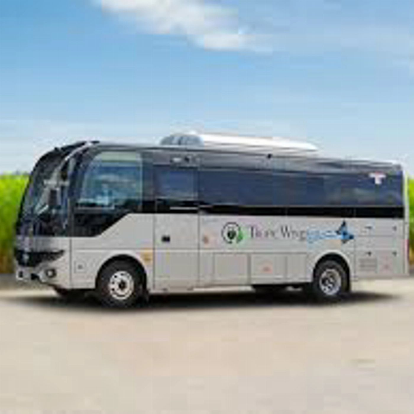Tropic Wings Transfers from Port Douglas to Palm Cove - One Way