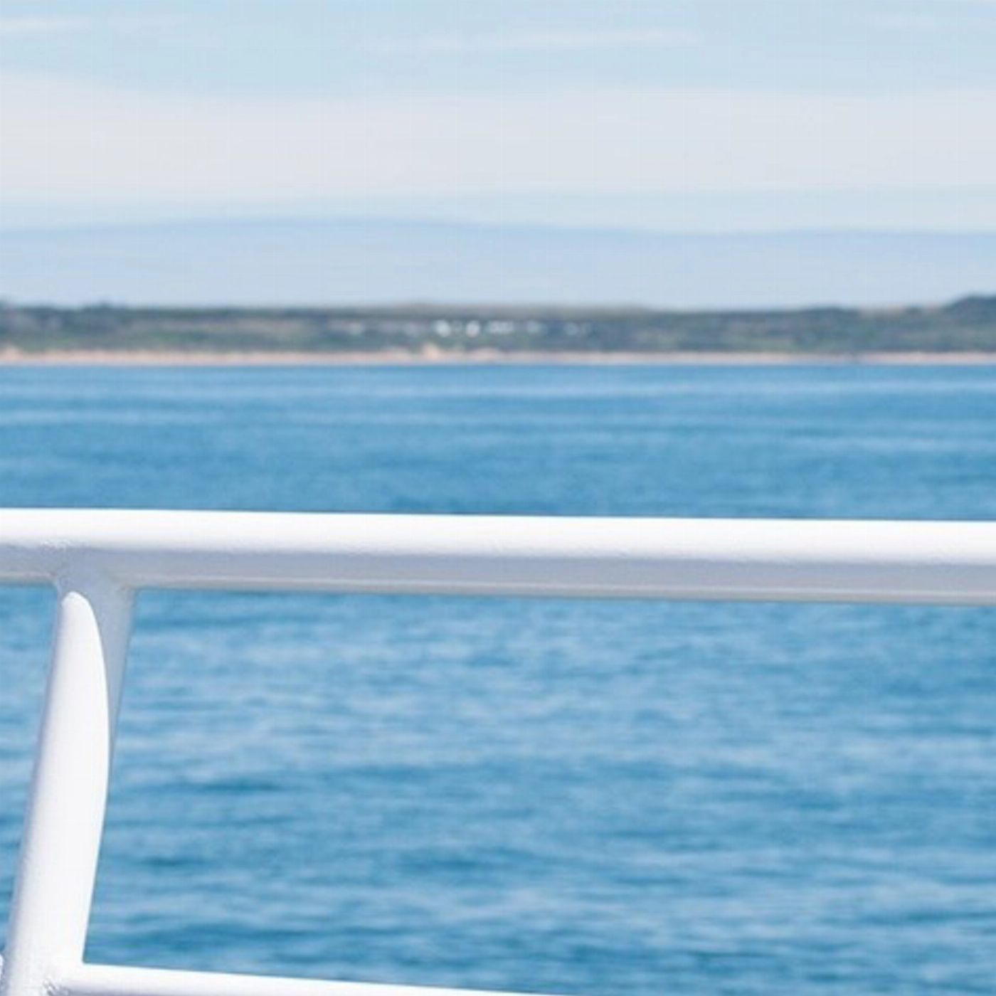 Wildlife Coast Cruises Peninsula Market Cruise