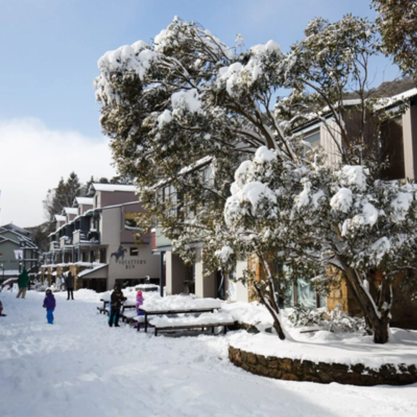 Ozia Tours 1 Day Snow Trip From Canberra