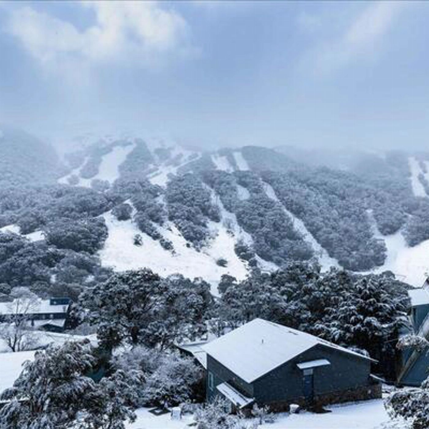 Ozia Tours 1 Day Snow Trip From Canberra